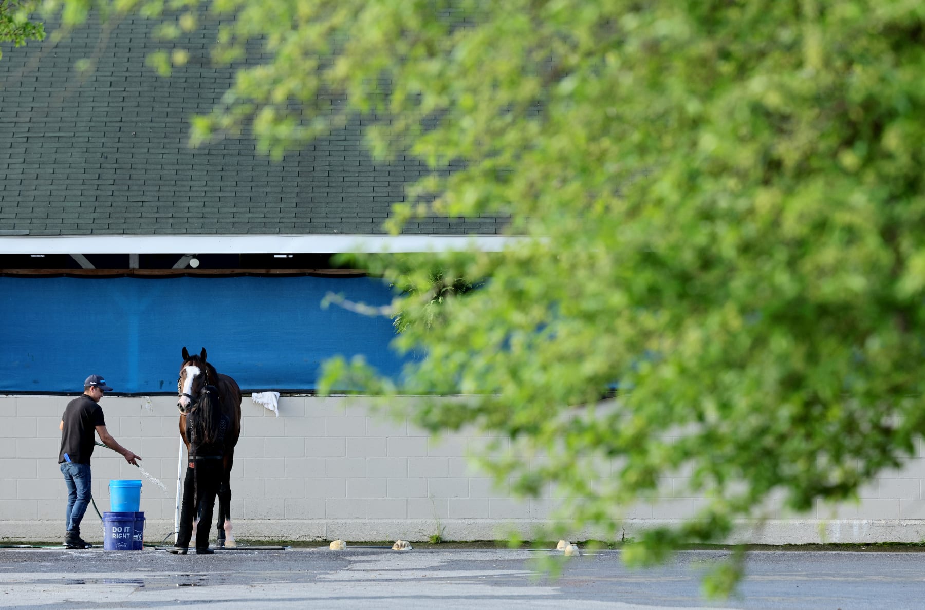 LOUISVILLE, KENTUCKY - APRIL 28: A horse is washed during the morning training for the Kentucky Derby at Churchill Downs on April 28, 2024 in Louisville, Kentucky.  (Photo by Andy Lyons/Getty Images)