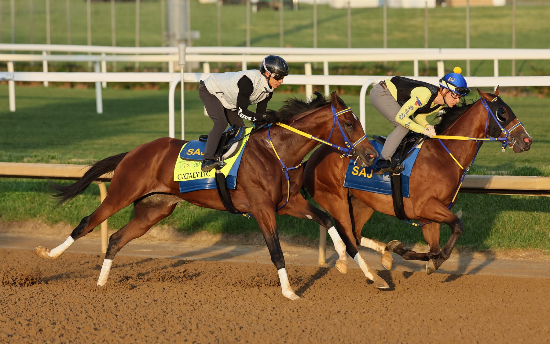 LOUISVILLE, KENTUCKY - APRIL 28: Catalytic runs on the track during the morning training for the Kentucky Derby at Churchill Downs on April 28, 2024 in Louisville, Kentucky.  (Photo by Andy Lyons/Getty Images)