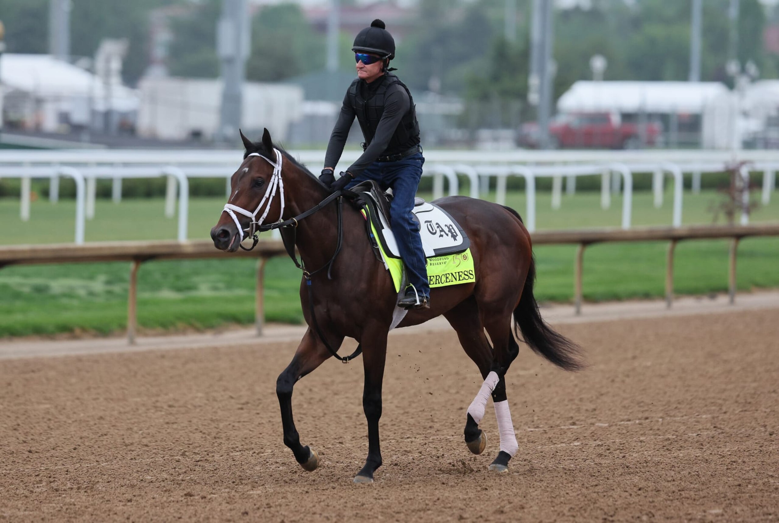 LOUISVILLE, KENTUCKY - APRIL 28: Fierceness walks on the track during the morning training for the Kentucky Derby at Churchill Downs on April 28, 2024 in Louisville, Kentucky.  (Photo by Andy Lyons/Getty Images)