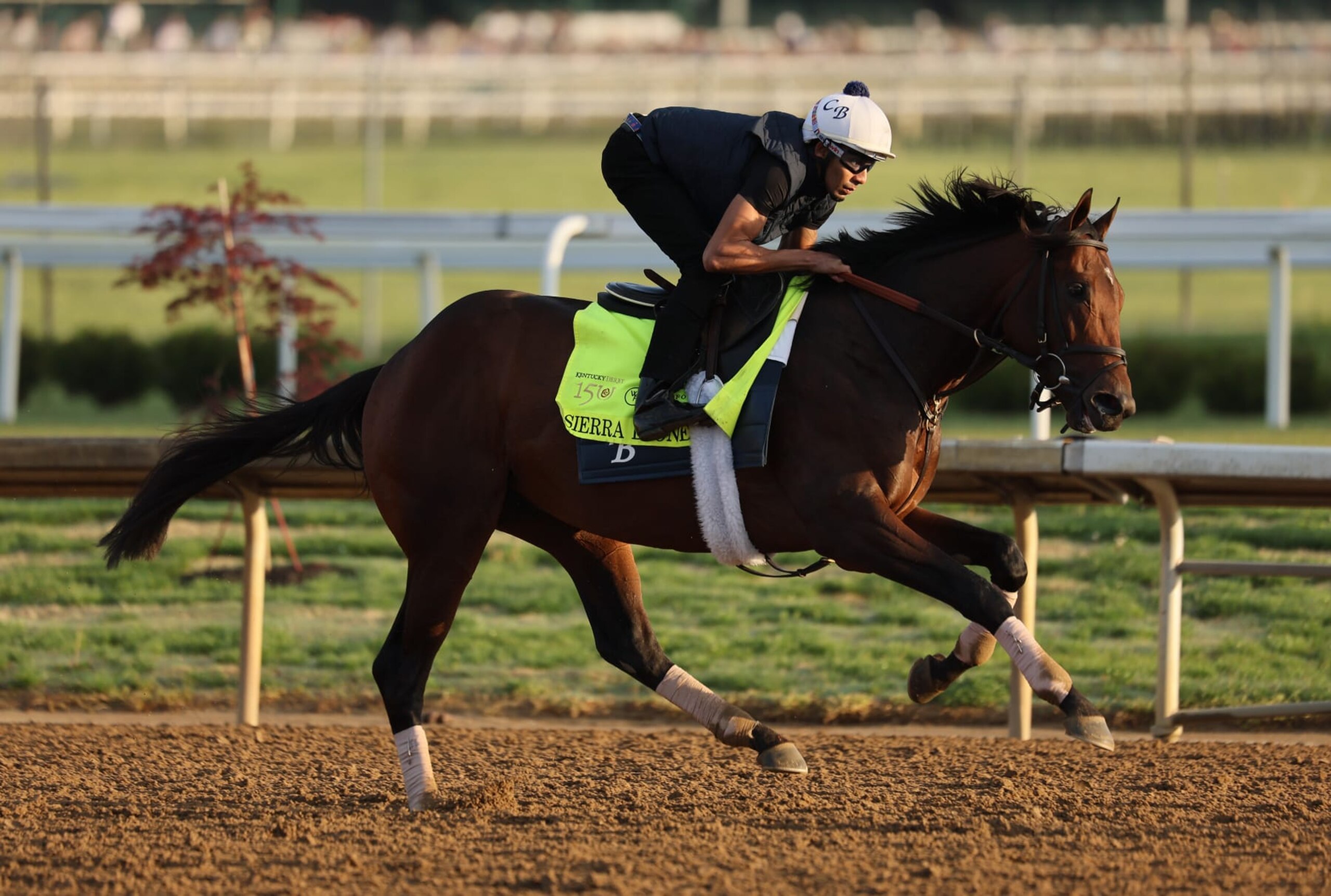 LOUISVILLE, KENTUCKY - MAY 01: Sierra Leone runs on the track during the morning training for the Kentucky Derby at Churchill Downs on May 01, 2024 in Louisville, Kentucky.  (Photo by Andy Lyons/Getty Images)