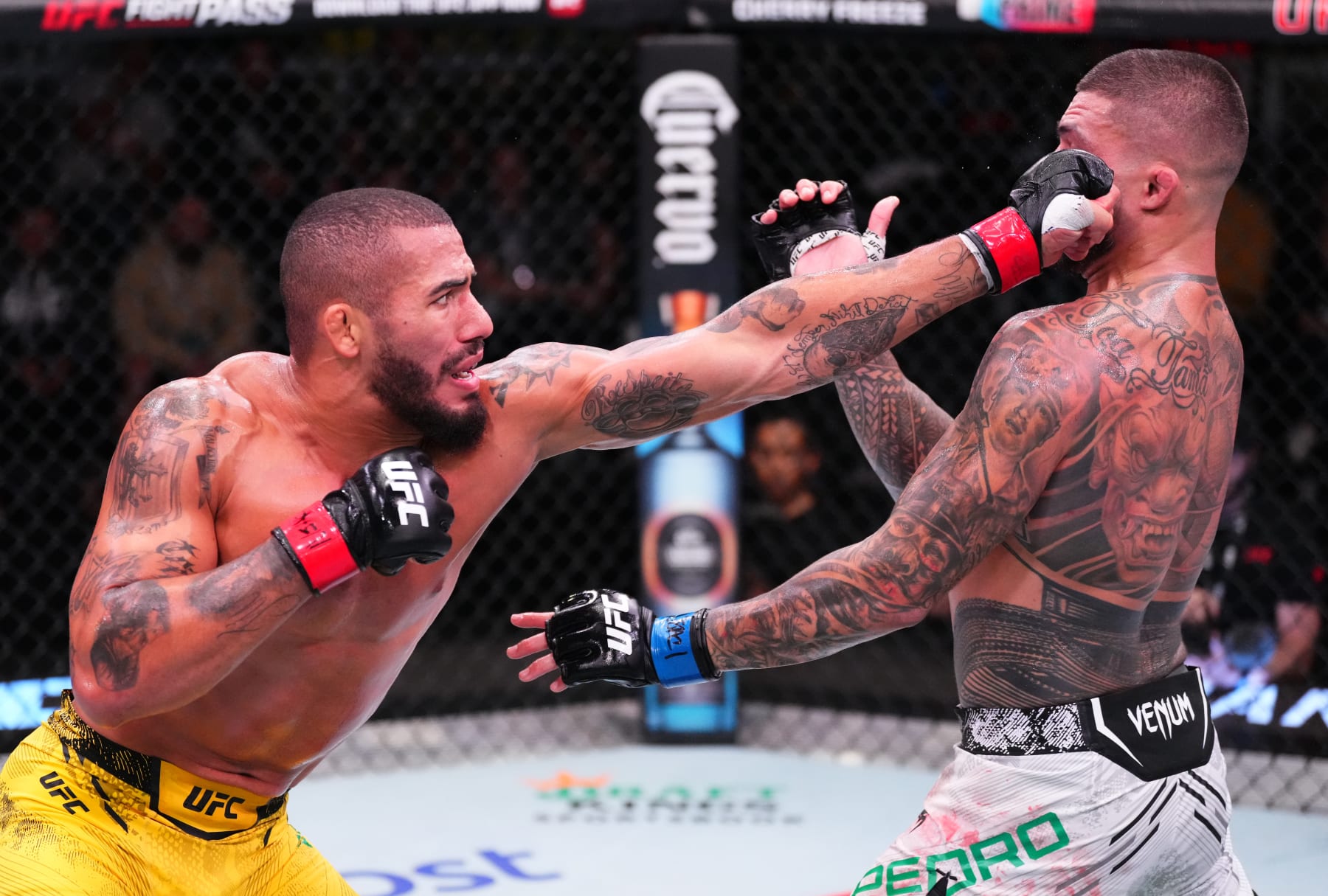 Vitor Petrino punches Tyson Pedro
