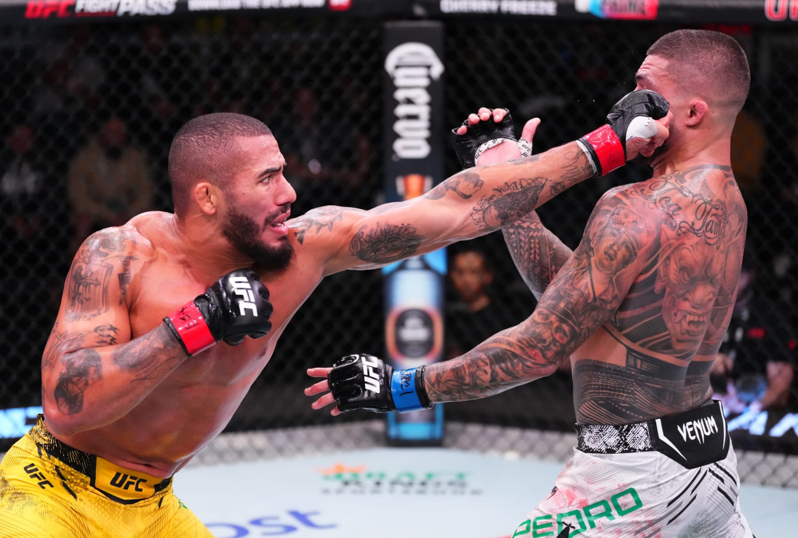 Vitor Petrino punches Tyson Pedro