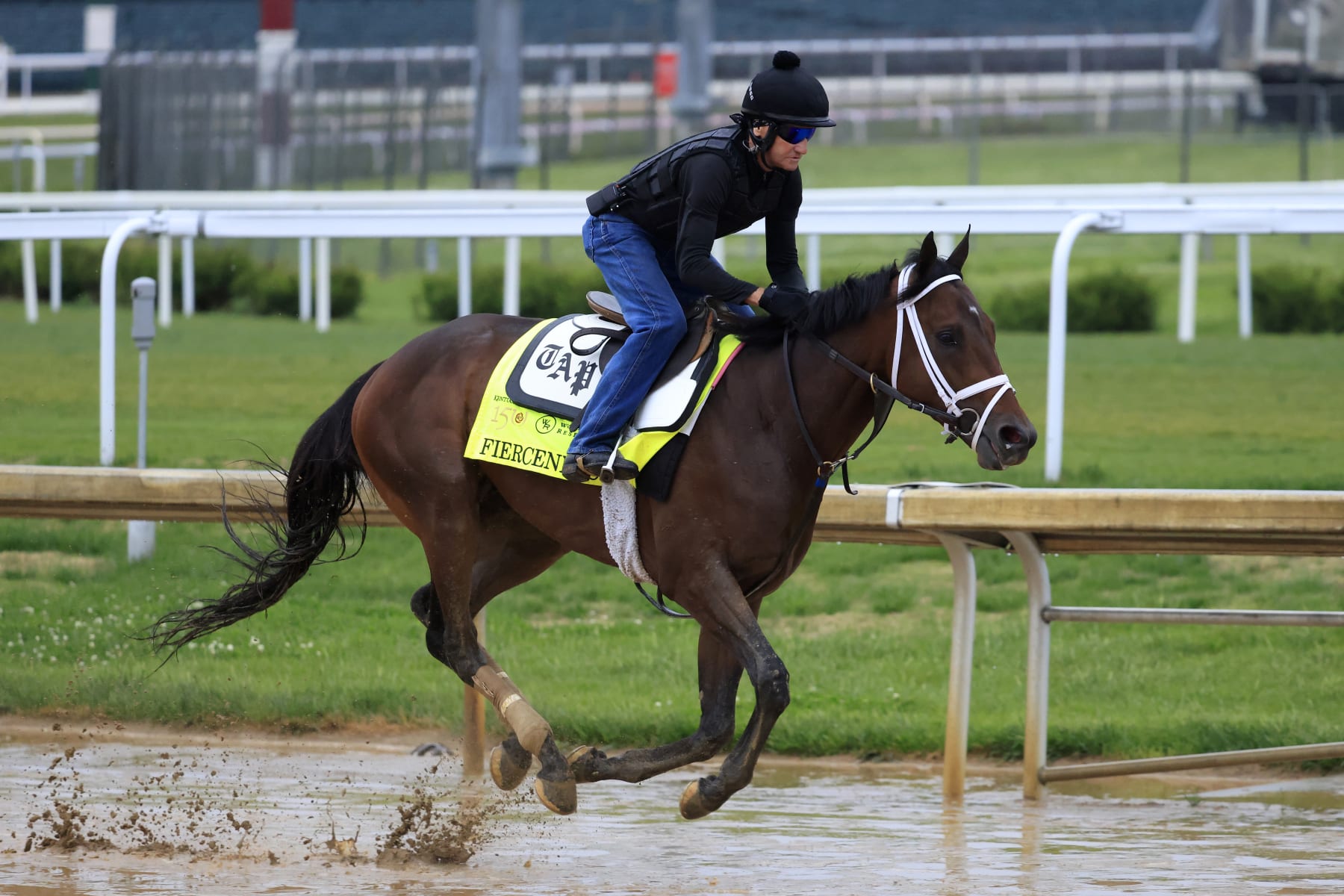 LOUISVILLE, KENTUCKY - MAY 03: Fierceness trains on the track during morning workouts ahead of the 150th running of the Kentucky Derby at Churchill Downs on May 03, 2024 in Louisville, Kentucky.  (Photo by Justin Casterline/2024 Getty Images)