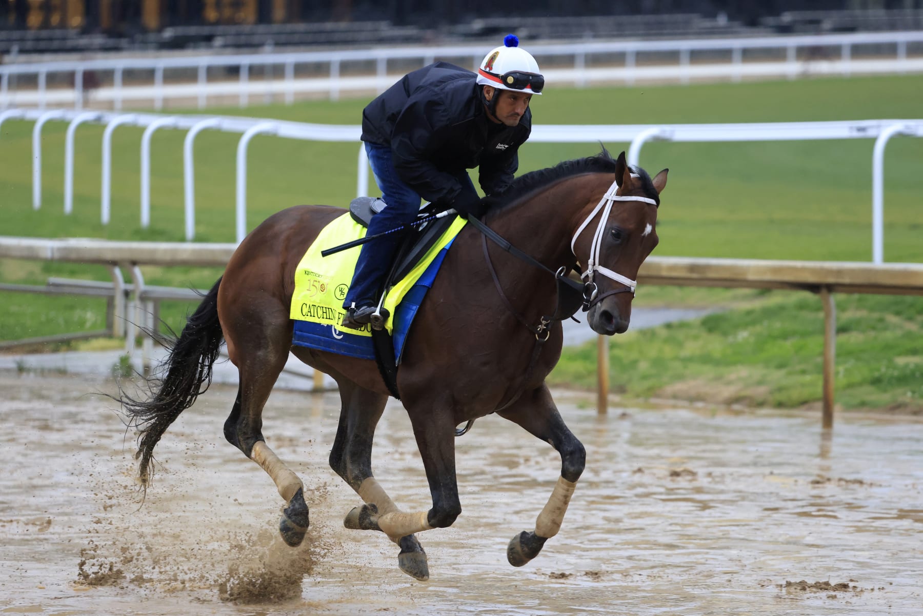 LOUISVILLE, KENTUCKY - MAY 03: Catching Freedom trains on the track during morning workouts ahead of the 150th running of the Kentucky Derby at Churchill Downs on May 03, 2024 in Louisville, Kentucky.  (Photo by Justin Casterline/2024 Getty Images)