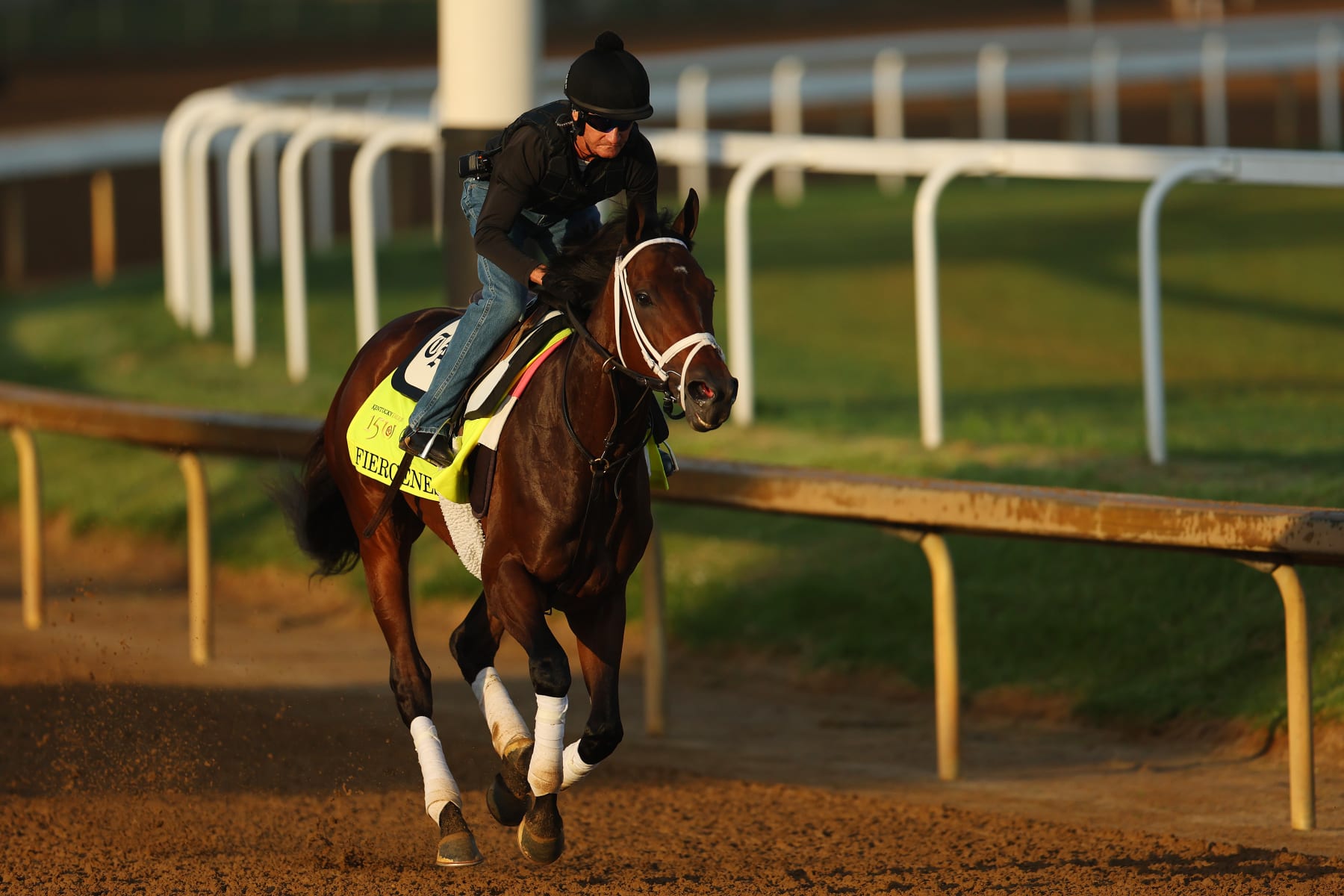 LOUISVILLE, KENTUCKY - MAY 02: Fierceness trains on the track during morning workouts ahead of the 150th running of the Kentucky Derby at Churchill Downs on May 02, 2024 in Louisville, Kentucky.  (Photo by Michael Reaves/Getty Images)