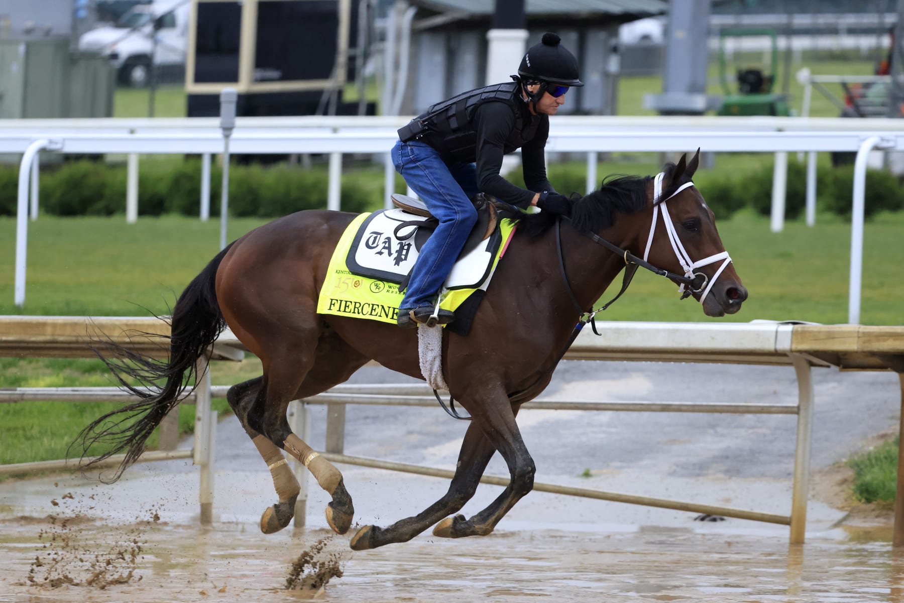 LOUISVILLE, KENTUCKY - MAY 03: Fierceness trains on the track during morning workouts ahead of the 150th running of the Kentucky Derby at Churchill Downs on May 03, 2024 in Louisville, Kentucky.  (Photo by Justin Casterline/2024 Getty Images)