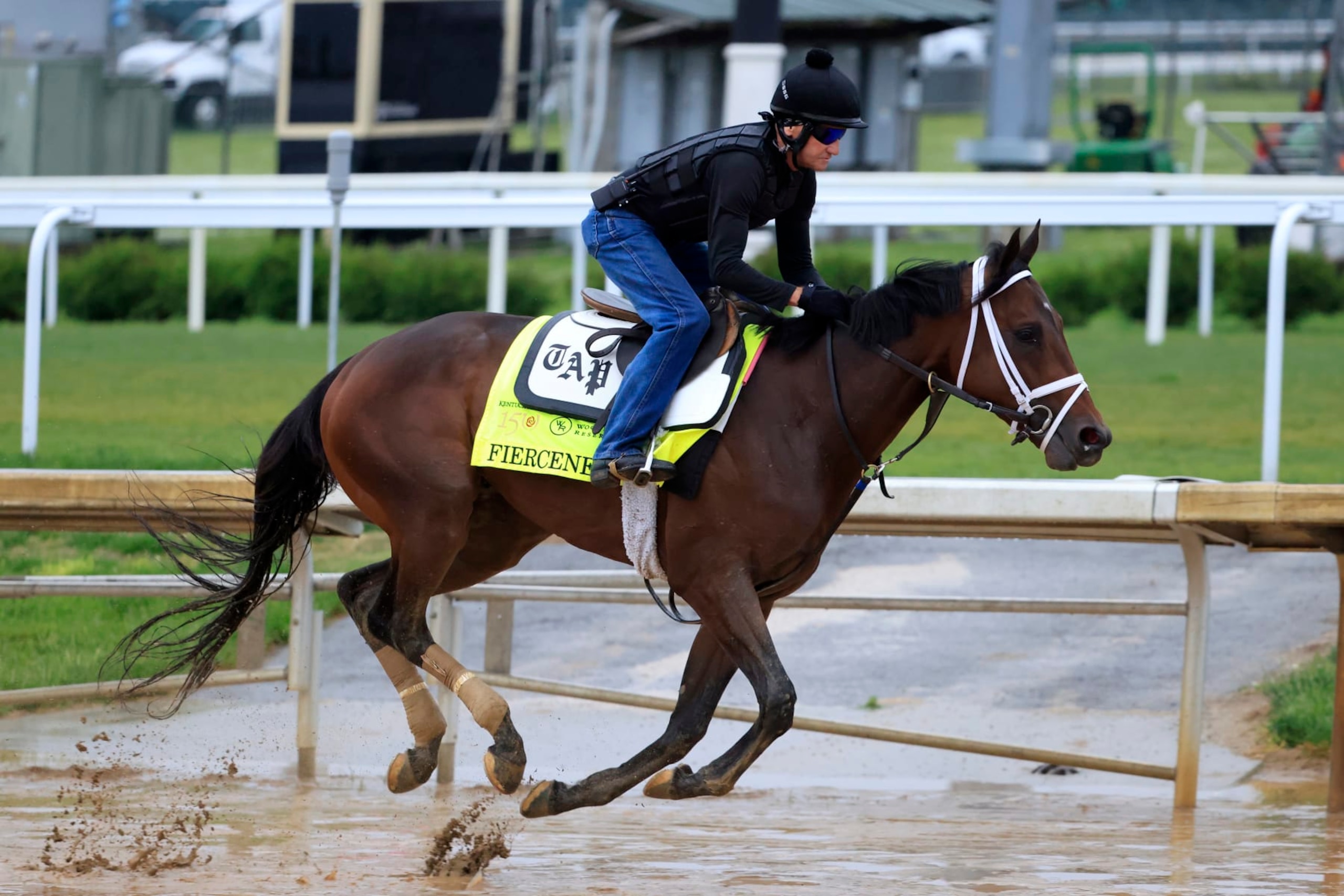 LOUISVILLE, KENTUCKY - MAY 03: Fierceness trains on the track during morning workouts ahead of the 150th running of the Kentucky Derby at Churchill Downs on May 03, 2024 in Louisville, Kentucky. (Photo by Justin Casterline/2024 Getty Images) LOUISVILLE, KENTUCKY - MAY 03: Fierceness trains on the track during morning workouts ahead of the 150th running of the Kentucky Derby at Churchill Downs on May 03, 2024 in Louisville, Kentucky. (Photo by Justin Casterline/2024 Getty Images)
