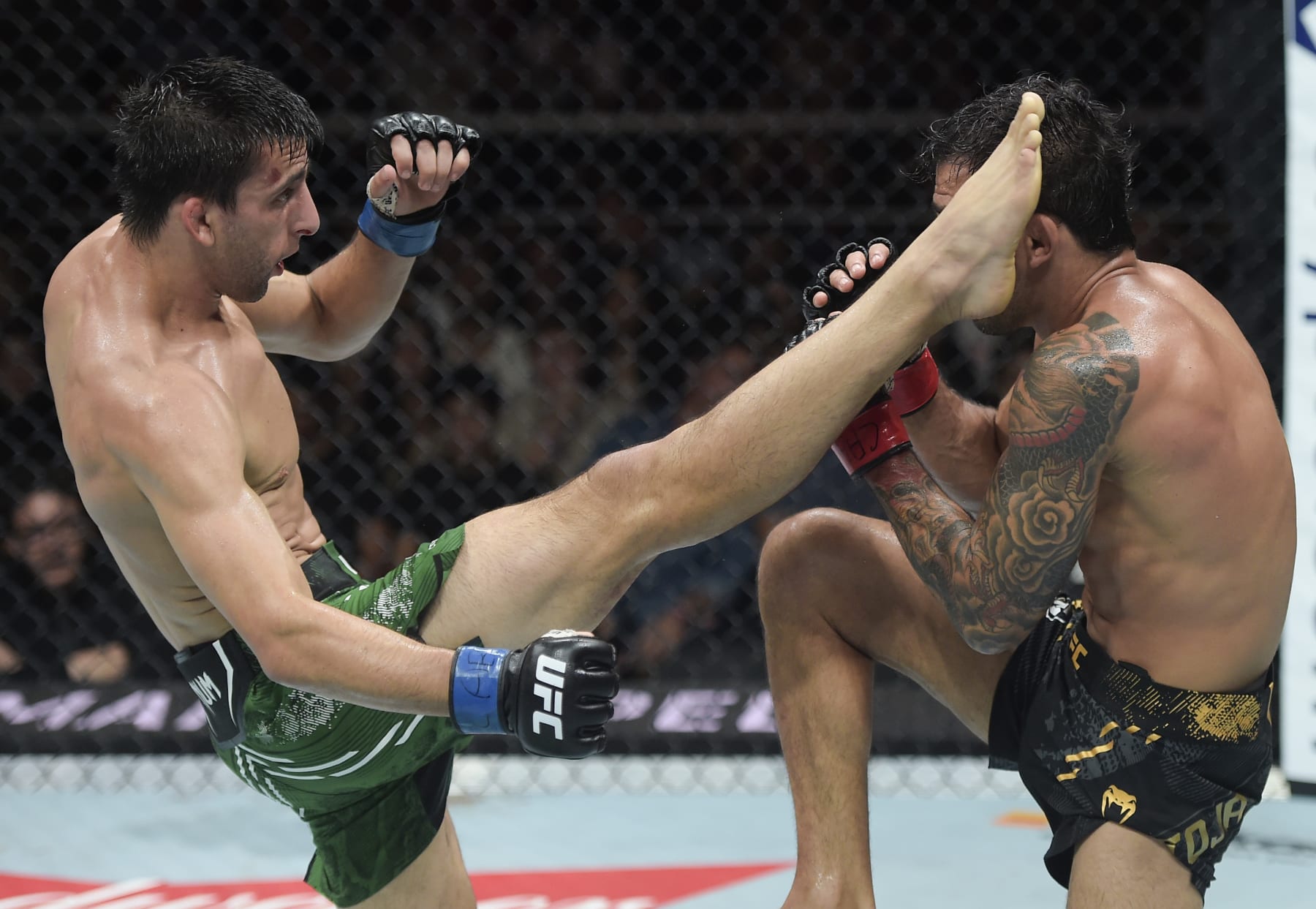  Steve Erceg kicks Alexandre Pantoja