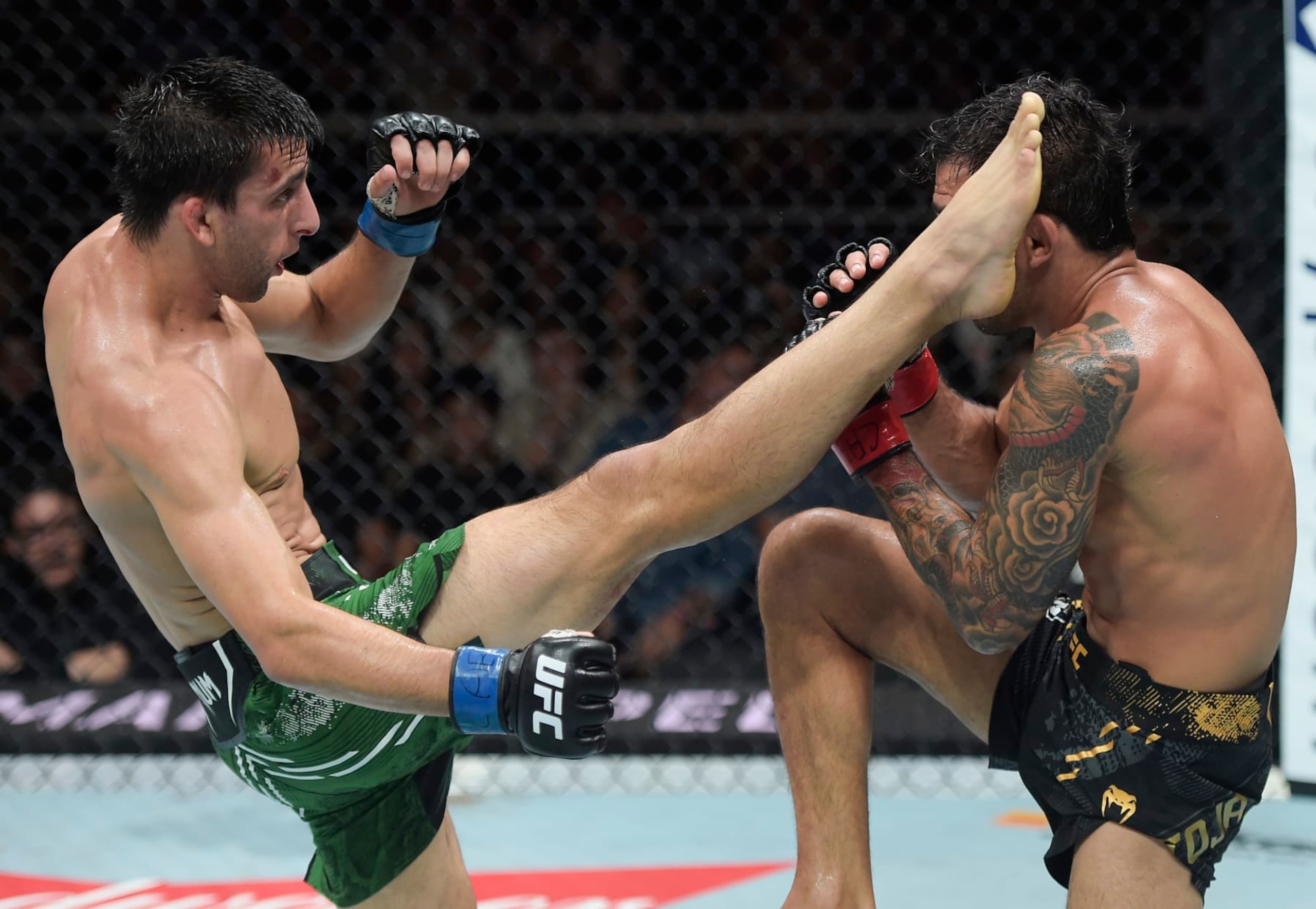  Steve Erceg kicks Alexandre Pantoja