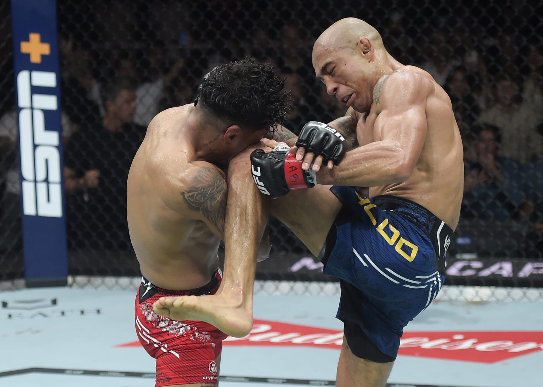 Jose Aldo knees Jonathan Martinez