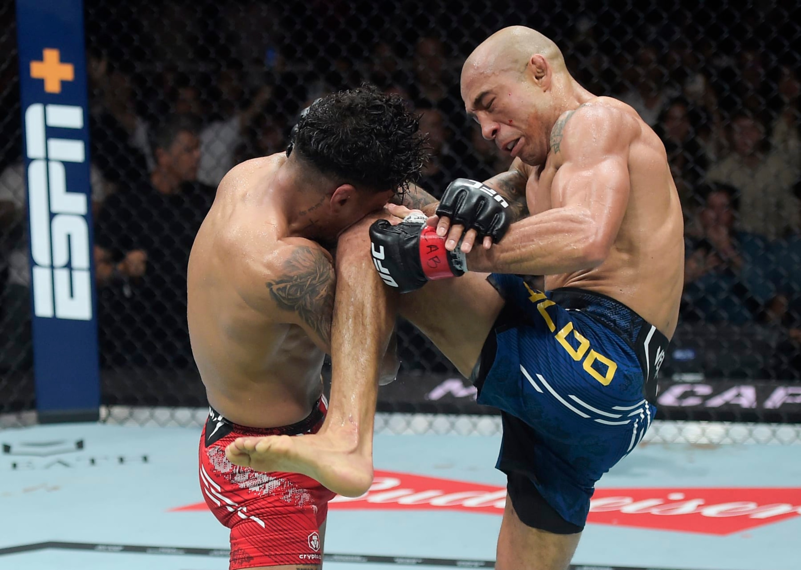 Jose Aldo knees Jonathan Martinez