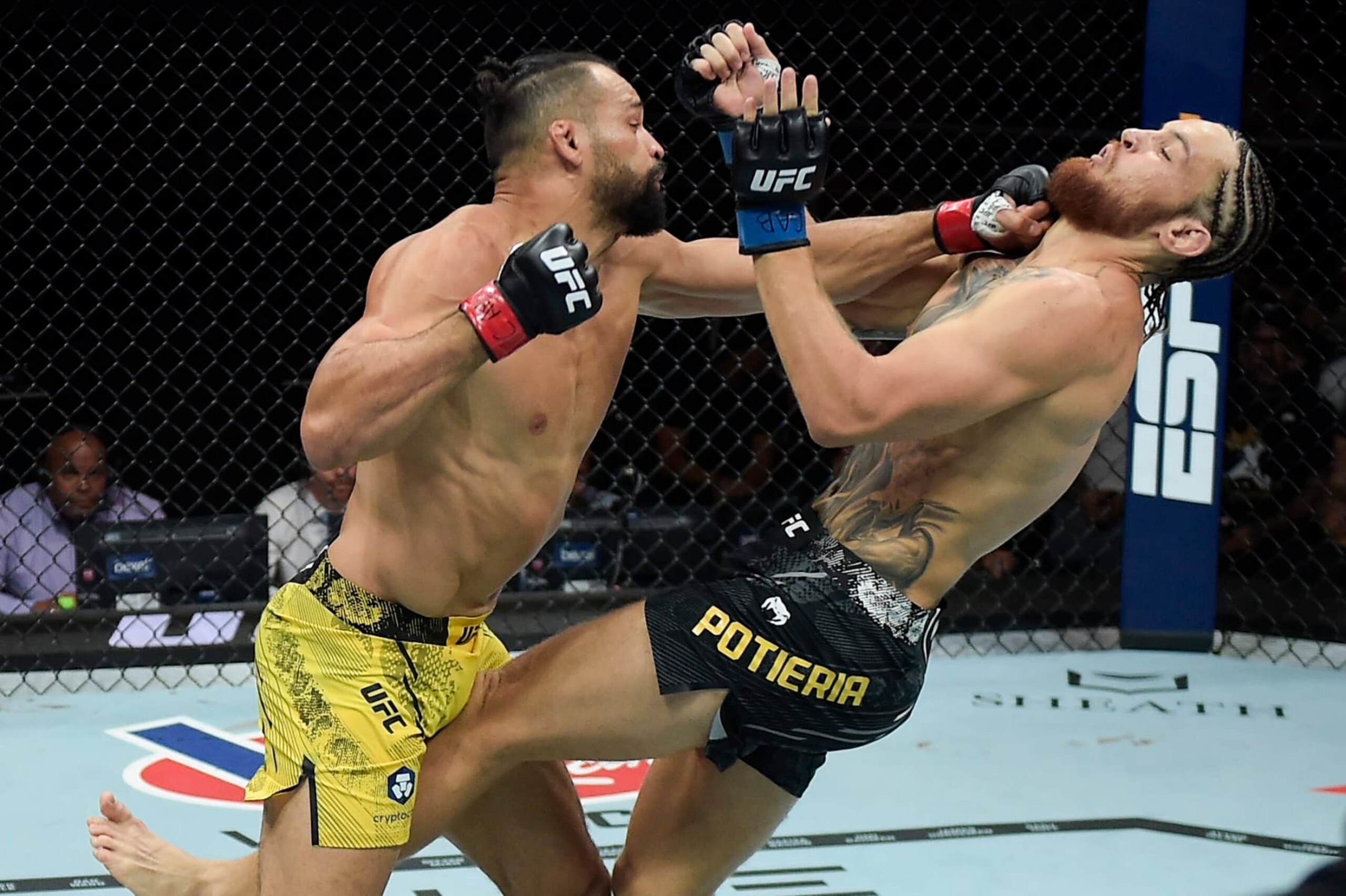 Michel Pereira punches Ihor Potieria