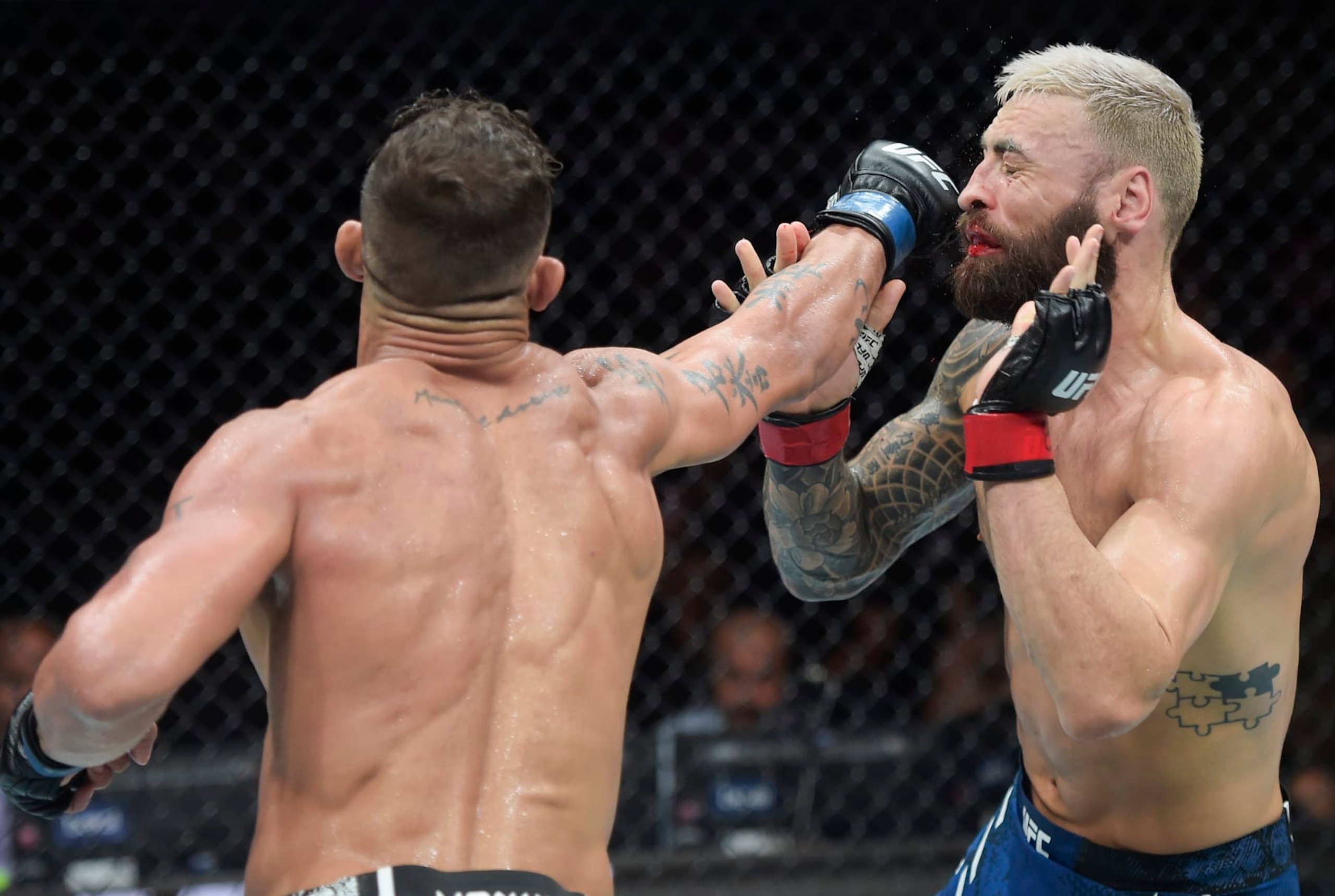 Caio Borralho punches Paul Craig 