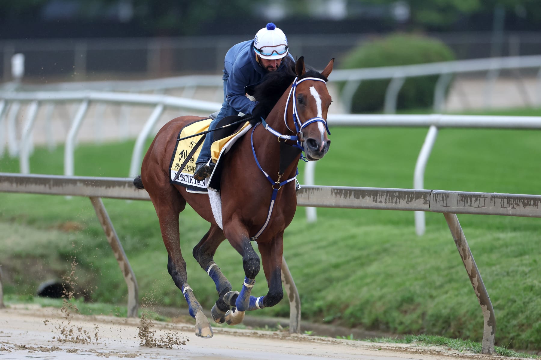 BALTIMORE, MARYLAND - MAY 15: Exercise rider 
Robby Albarado takes Kentucky Derby winner Mystik Dan over the track during a training session ahead of the 149th running of the Preakness Stakes at Pimlico Race Course on May 15, 2024 in Baltimore, Maryland. (Photo by Rob Carr/Getty Images)