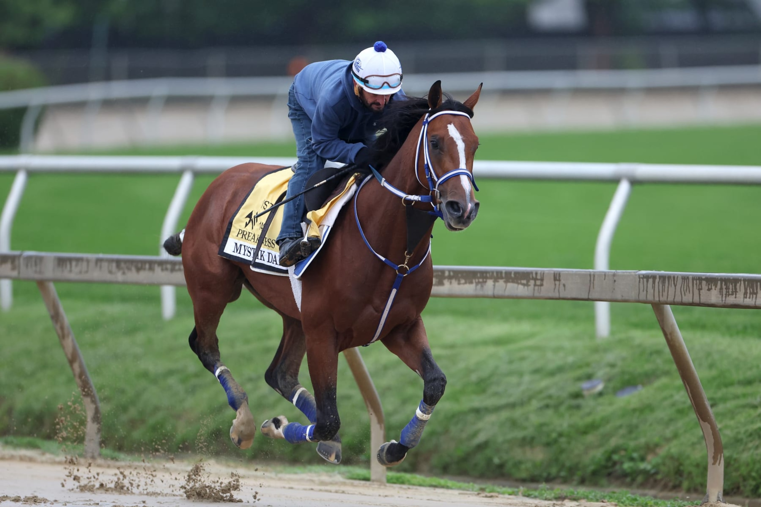 BALTIMORE, MARYLAND - MAY 15: Exercise rider 
Robby Albarado takes Kentucky Derby winner Mystik Dan over the track during a training session ahead of the 149th running of the Preakness Stakes at Pimlico Race Course on May 15, 2024 in Baltimore, Maryland. (Photo by Rob Carr/Getty Images)