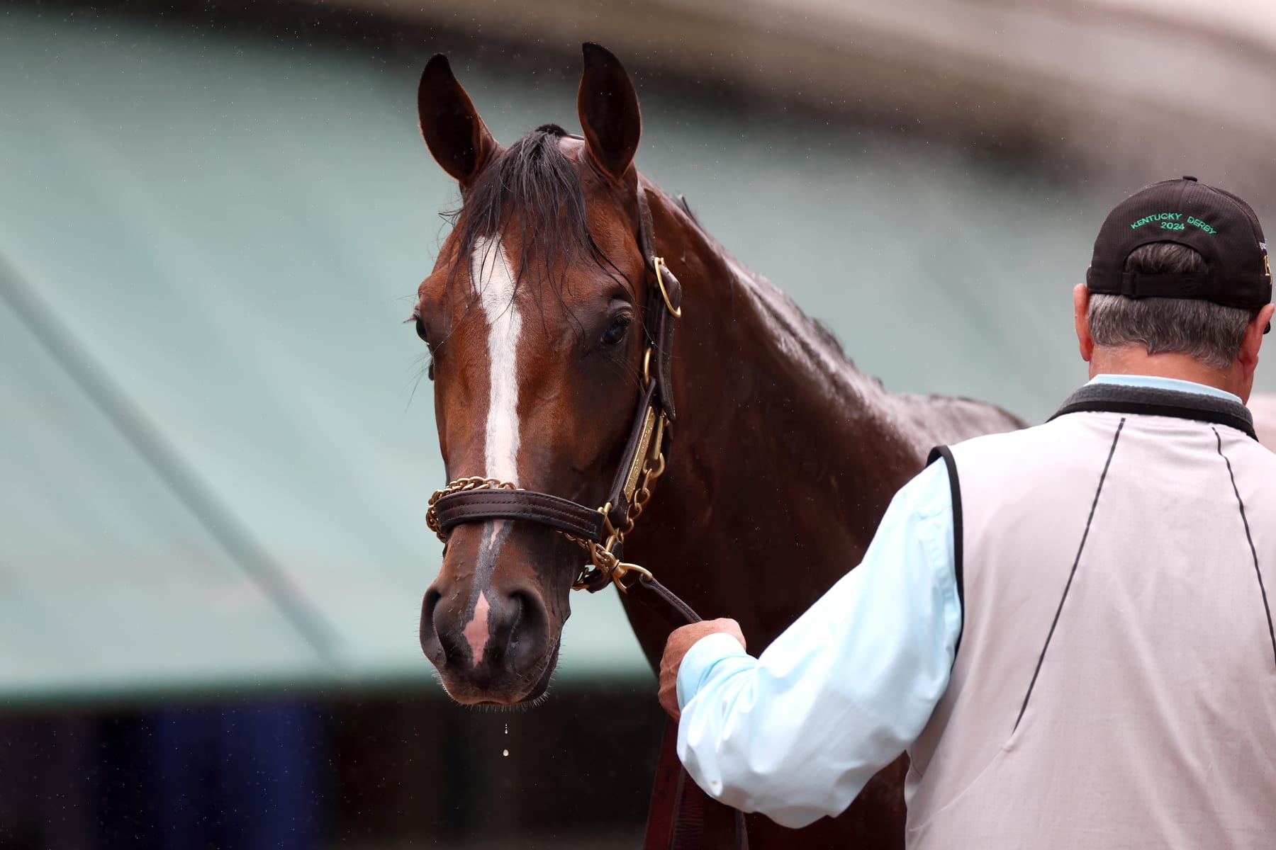 BALTIMORE, MARYLAND - MAY 15: Kentucky Derby winner Mystik Dan is bathed following a training session ahead of the 149th running of the Preakness Stakes at Pimlico Race Course on May 15, 2024 in Baltimore, Maryland. (Photo by Rob Carr/Getty Images)