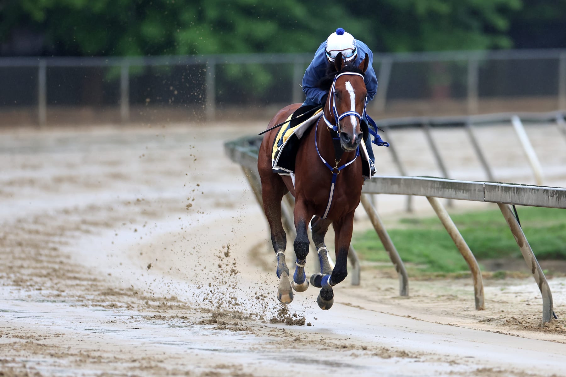 Mystik Dan prepares for the Preakness