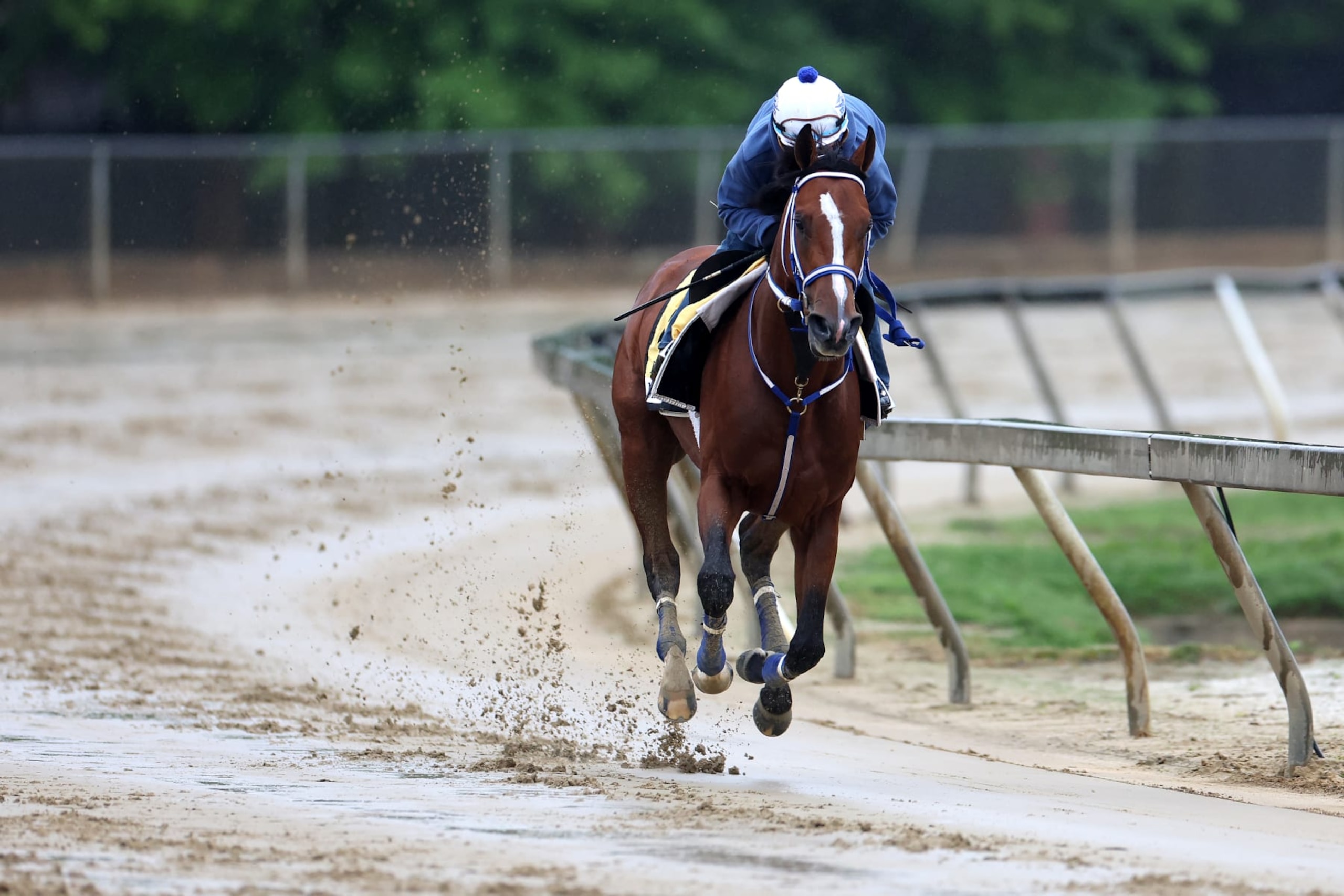 Mystik Dan prepares for the Preakness
