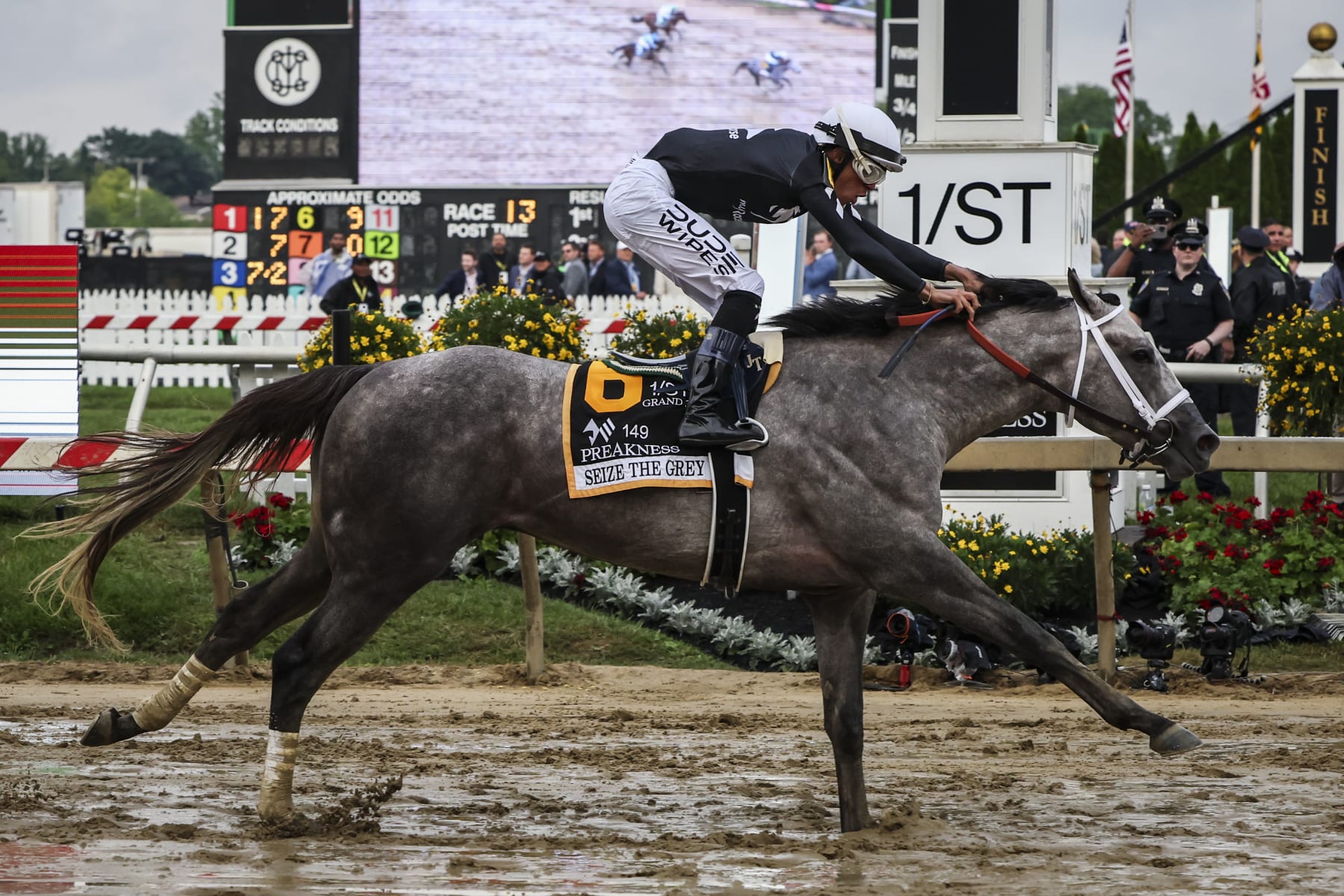 Seize the Grey crosses the finish line at the 2024 Preakness.
