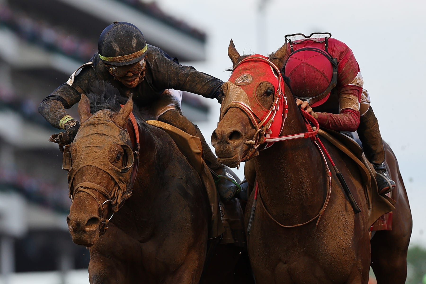 Sierra Leone and Forever Young at the Kentucky Derby