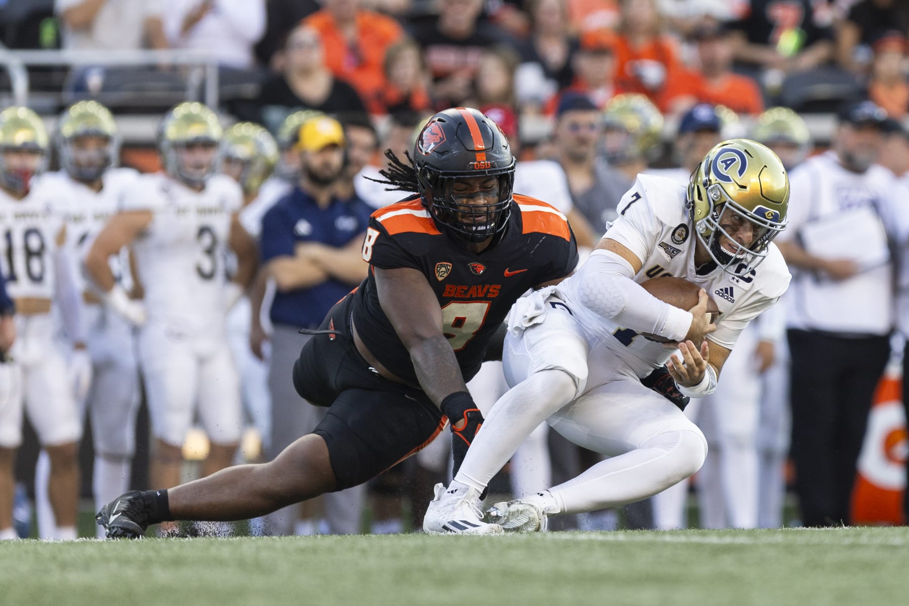 CORVALLIS, OR - SEPTEMBER 09: Oregon State Beavers defensive lineman Sione Lolohea (8) sacks UC Davis Aggies quarterback Miles Hastings (7) during a college football game between the UC Davis Aggies and Oregon State Beavers on September, 9, 2023 at Reser Stadium in Corvallis, OR. (Logan Hannigan-Downs/Icon Sportswire via Getty Images)