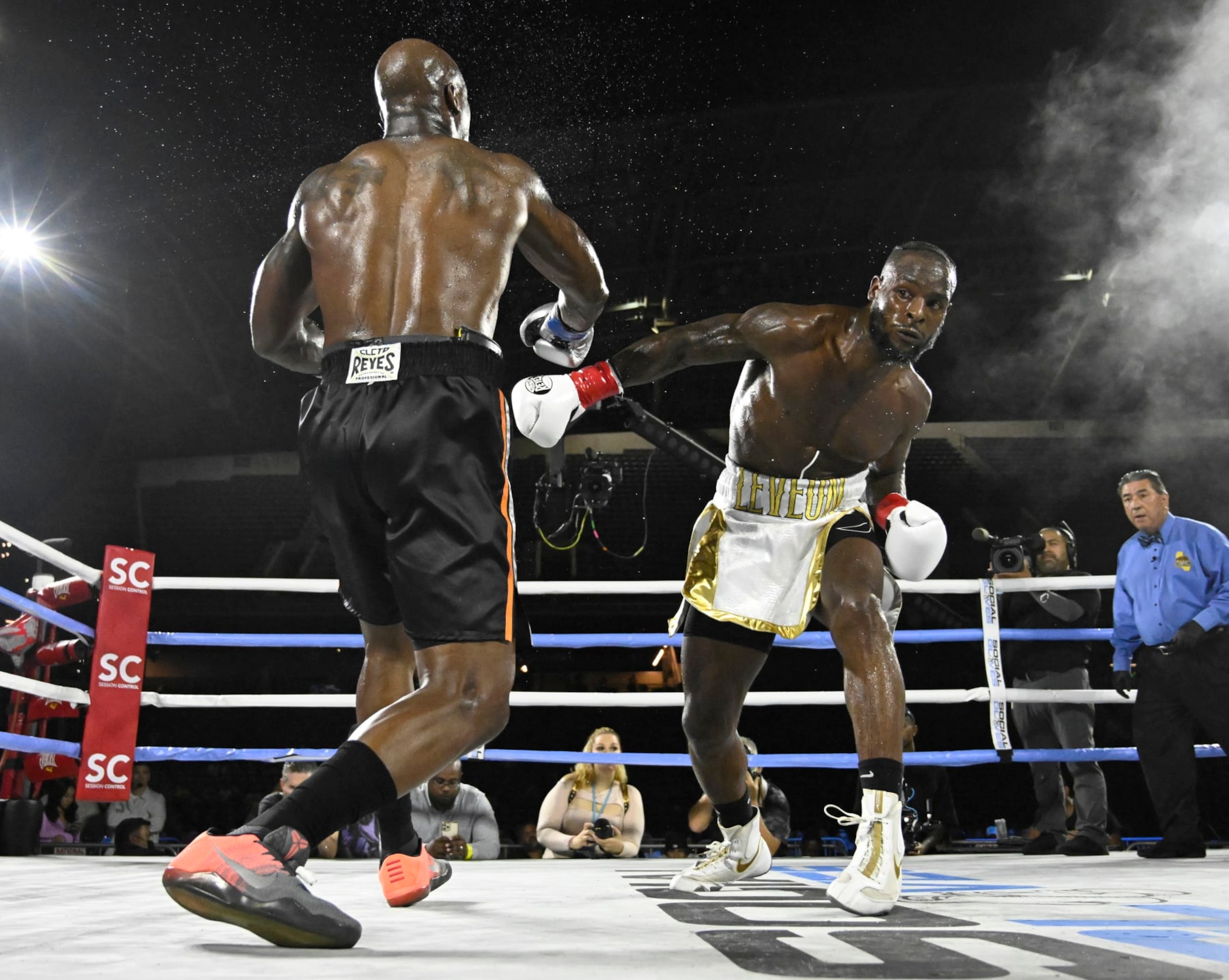 Le'Veon Bell in his knockout win over Adrian Peterson Le'Veon Bell in his knockout win over Adrian Peterson