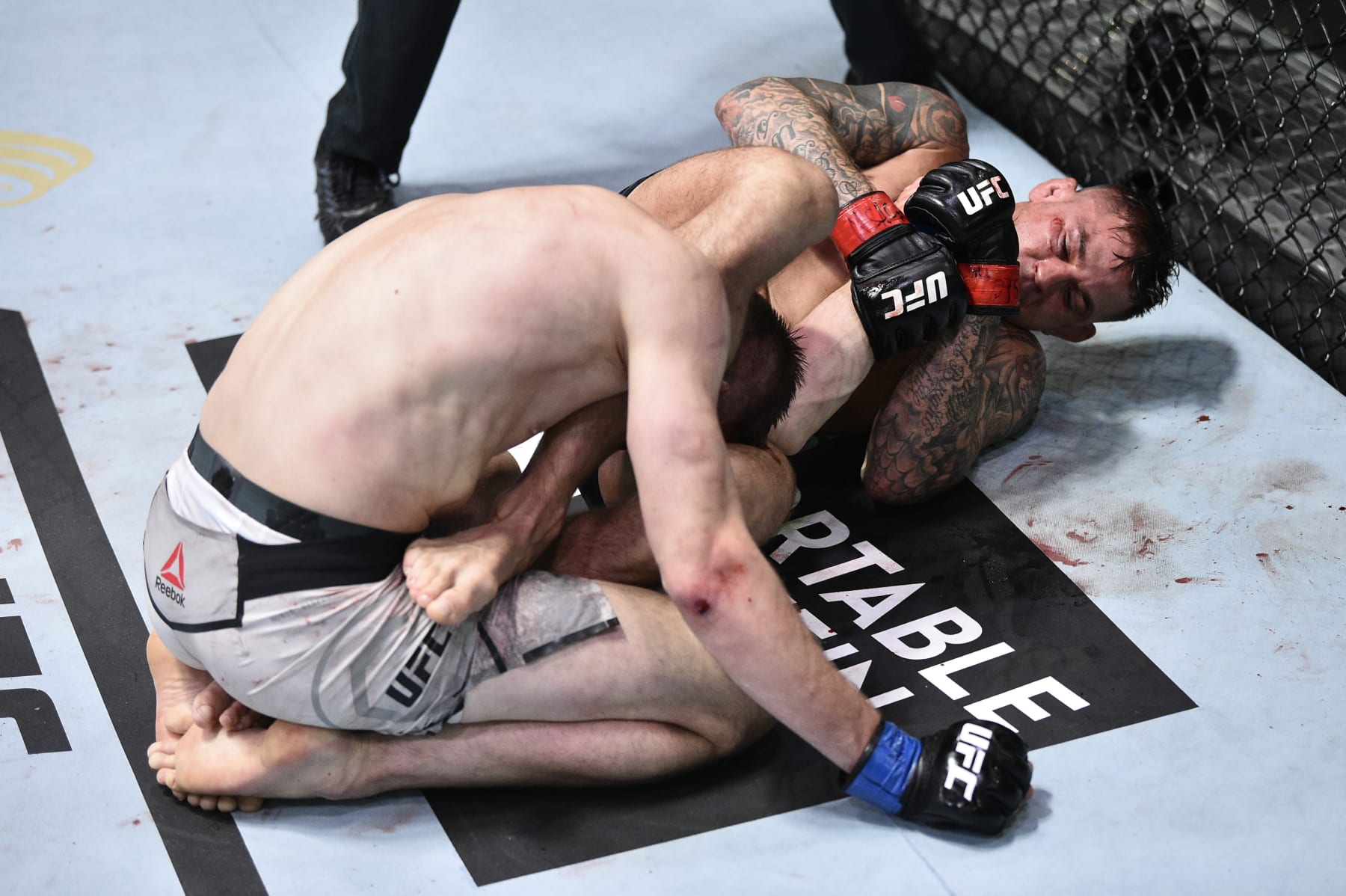 Dustin Poirier attempts an arm bar against Dan Hooker