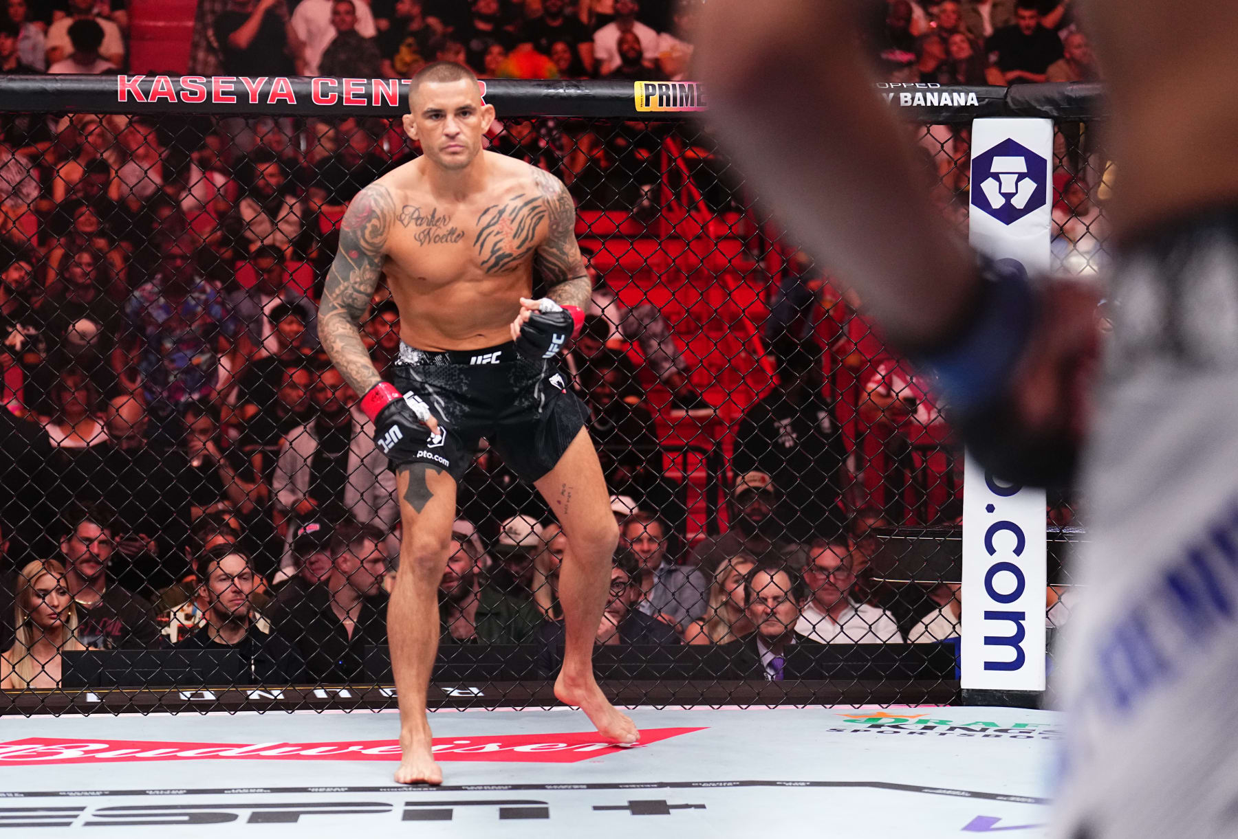Dustin Poirier prepares to face Benoit Saint Denis