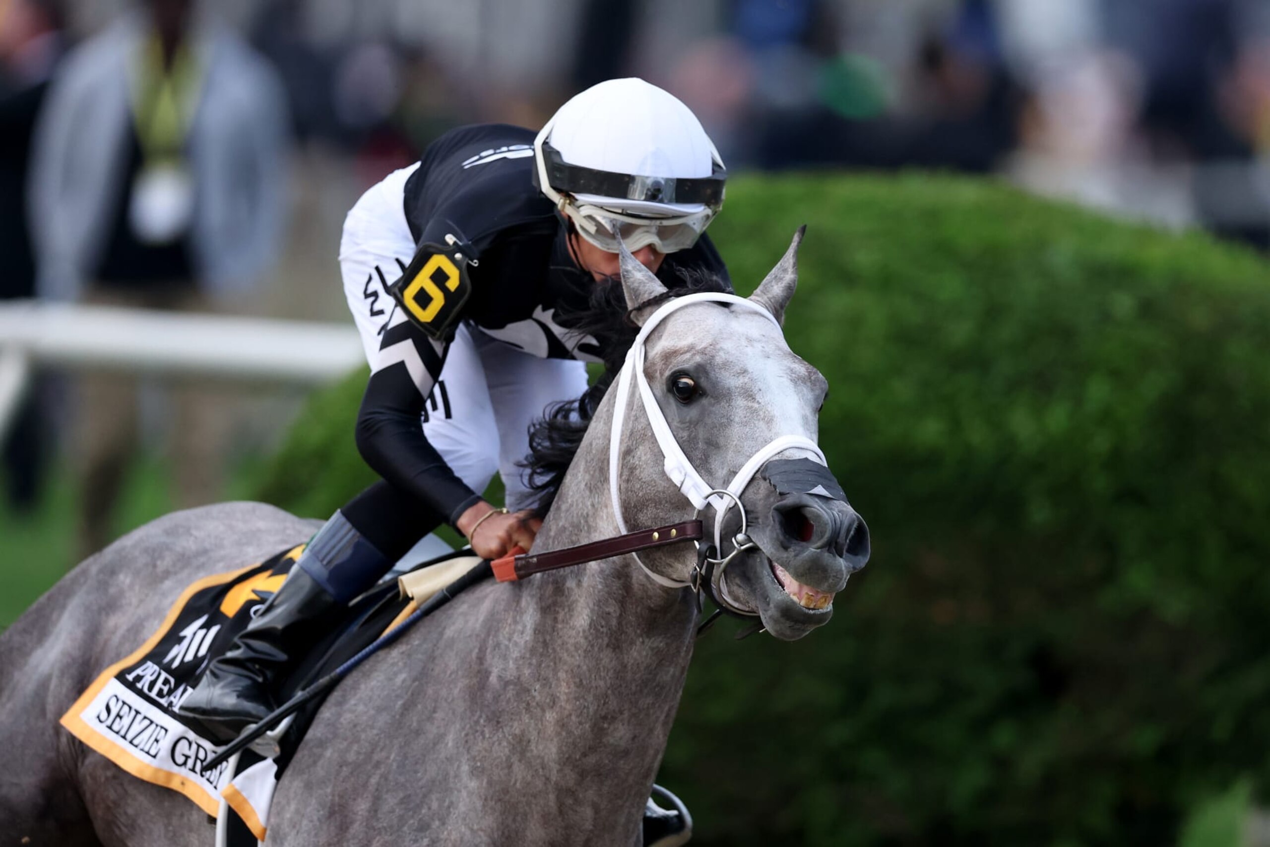 BALTIMORE, MARYLAND - MAY 18: Jockey Jaime Torres rides Seize the Grey #6 into the first turn during 149th running of the Preakness Stakes at Pimlico Race Course on May 18, 2024 in Baltimore, Maryland. (Photo by Rob Carr/Getty Images) BALTIMORE, MARYLAND - MAY 18: Jockey Jaime Torres rides Seize the Grey #6 into the first turn during 149th running of the Preakness Stakes at Pimlico Race Course on May 18, 2024 in Baltimore, Maryland. (Photo by Rob Carr/Getty Images)