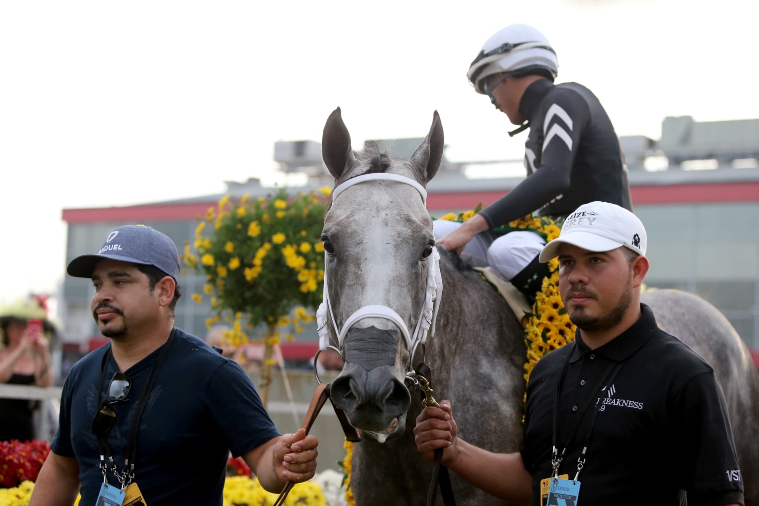 BALTIMORE, MD - MAY 18: Winners circle after Seize The Grey with Jaimie Torres riding wins the Preakness Stakes at Pimlico Race Course, on May 18, 2024 in Baltimore, Maryland. (Photo by Horsephotos/Getty Images) BALTIMORE, MD - MAY 18: Winners circle after Seize The Grey with Jaimie Torres riding wins the Preakness Stakes at Pimlico Race Course, on May 18, 2024 in Baltimore, Maryland. (Photo by Horsephotos/Getty Images)