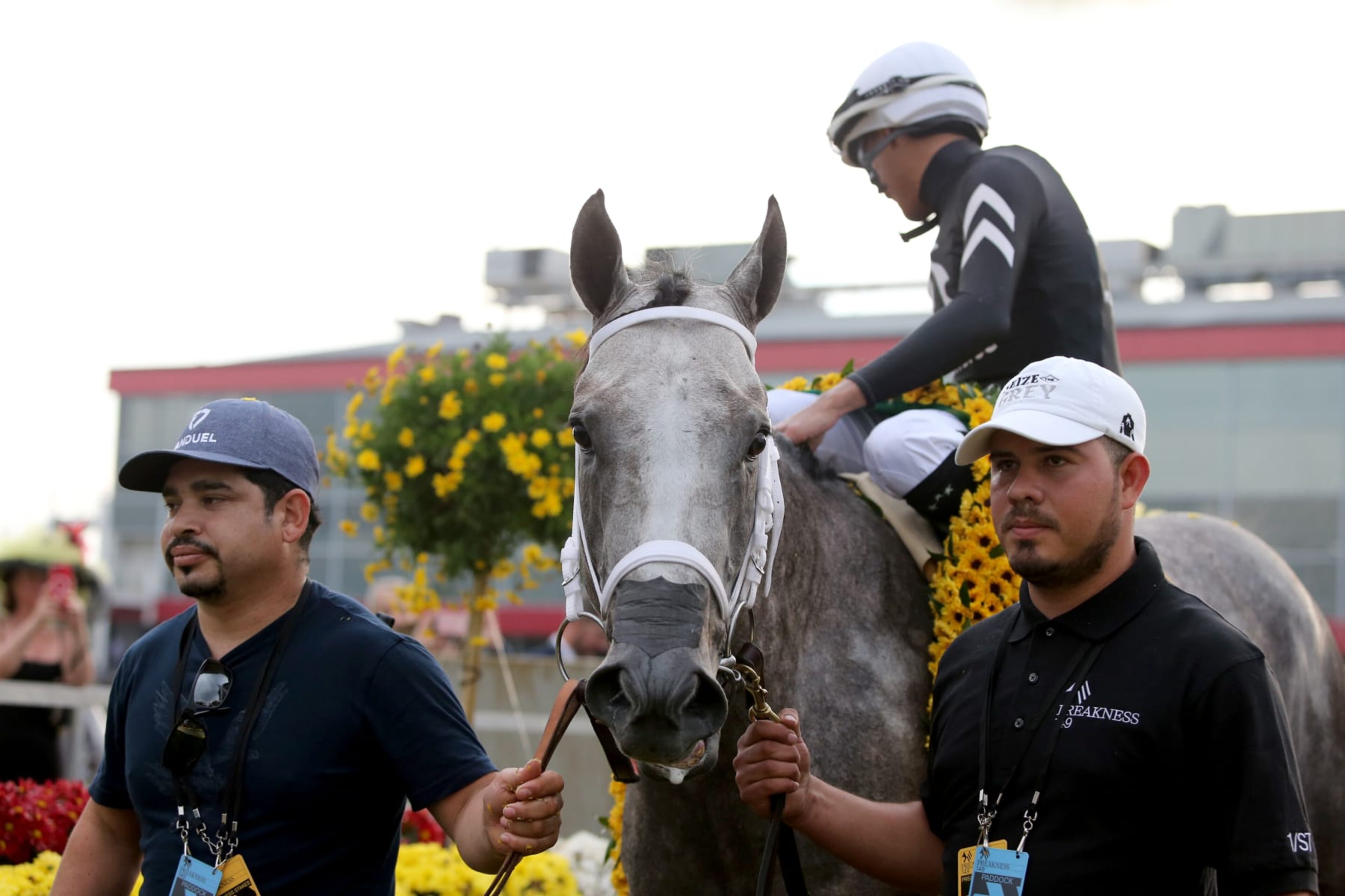 BALTIMORE, MD - MAY 18: Winners circle after Seize The Grey with Jaimie Torres riding wins the Preakness Stakes at Pimlico Race Course, on May 18, 2024 in  Baltimore, Maryland. (Photo by Horsephotos/Getty Images)