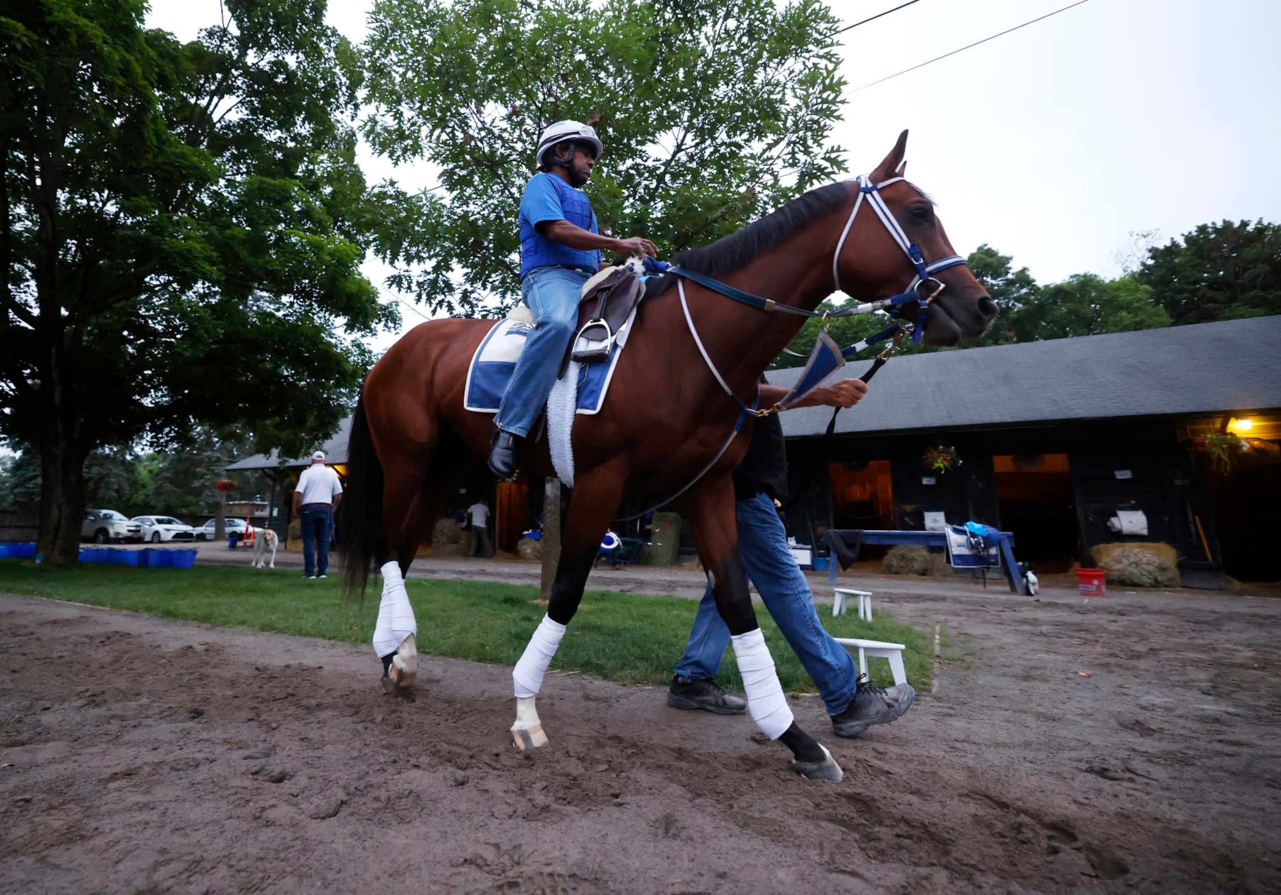 SARATOGA SPRINGS, NEW YORK - JUNE 06: Kentucky Derby winner Mystik Dan is walked outside his barn before a morning workout prior to the 156th running of the Belmont Stakes at Saratoga Race Course on June 06, 2024 in Saratoga Springs, New York. The race was moved to Saratoga while Belmont Park undergoes renovations. (Photo by Al Bello/Getty Images) SARATOGA SPRINGS, NEW YORK - JUNE 06: Kentucky Derby winner Mystik Dan is walked outside his barn before a morning workout prior to the 156th running of the Belmont Stakes at Saratoga Race Course on June 06, 2024 in Saratoga Springs, New York. The race was moved to Saratoga while Belmont Park undergoes renovations. (Photo by Al Bello/Getty Images)
