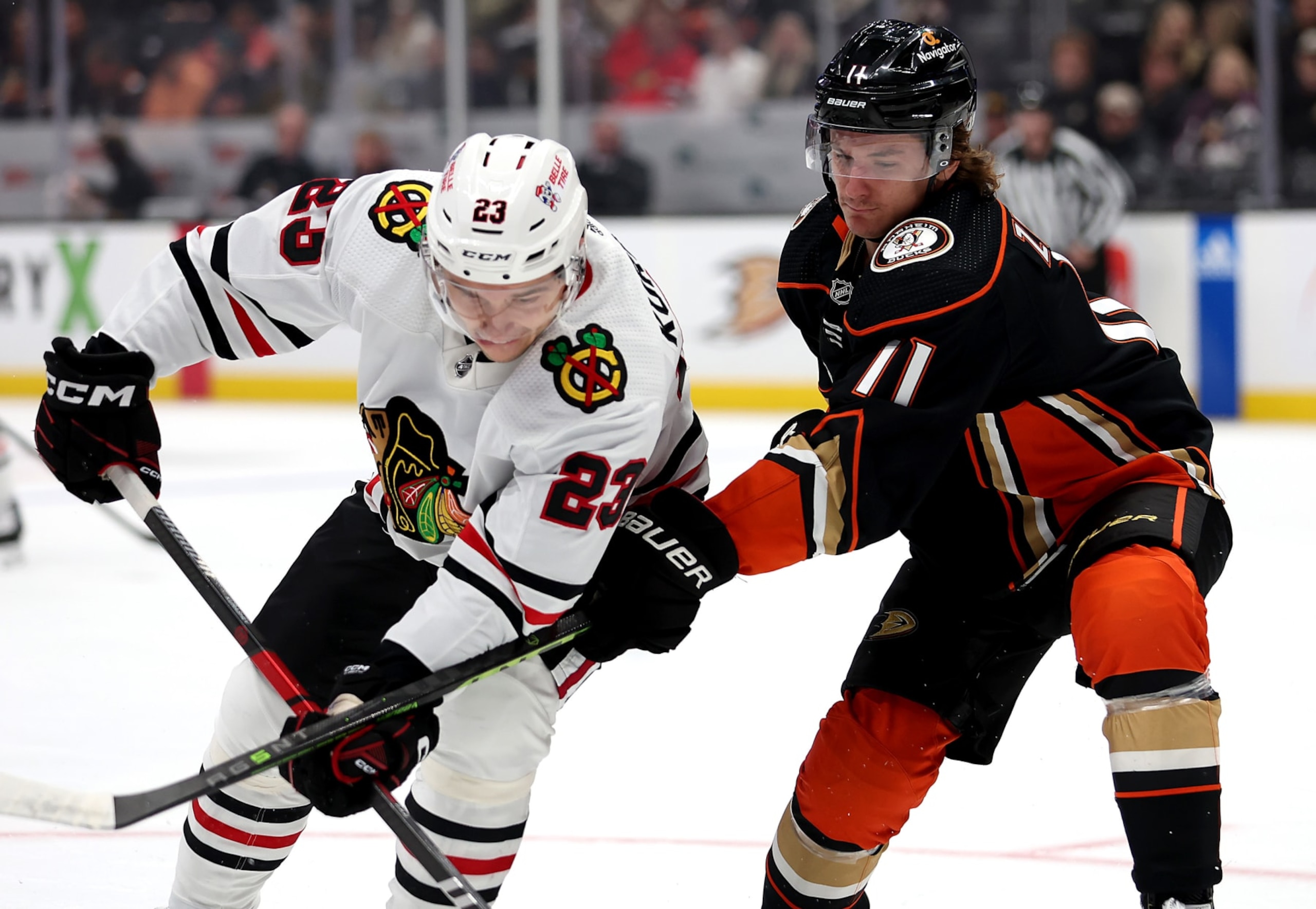 ANAHEIM, CALIFORNIA - NOVEMBER 12: Philipp Kurashev #23 of the Chicago Blackhawks battles Trevor Zegras #11 of the Anaheim Ducks during the first period of a game at Honda Center on November 12, 2022 in Anaheim, California. (Photo by Sean M. Haffey/Getty Images) ANAHEIM, CALIFORNIA - NOVEMBER 12: Philipp Kurashev #23 of the Chicago Blackhawks battles Trevor Zegras #11 of the Anaheim Ducks during the first period of a game at Honda Center on November 12, 2022 in Anaheim, California. (Photo by Sean M. Haffey/Getty Images)