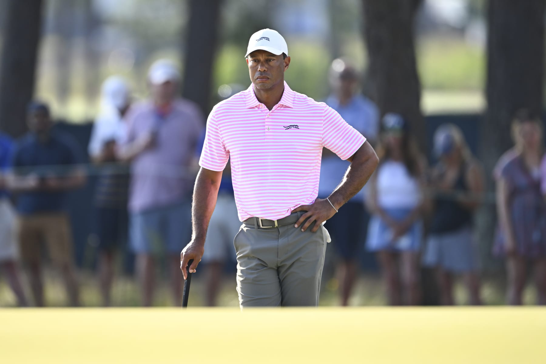 PINEHURST, NORTH CAROLINA - JUNE 13: Tiger Woods waits at the 11th green during the first round of 124th U.S. Open Championship at Pinehurst No. 2 at Pinehurst Resort on June 13, 2024 in Pinehurst, North Carolina. (Photo by Tracy Wilcox/PGA TOUR via Getty Images)