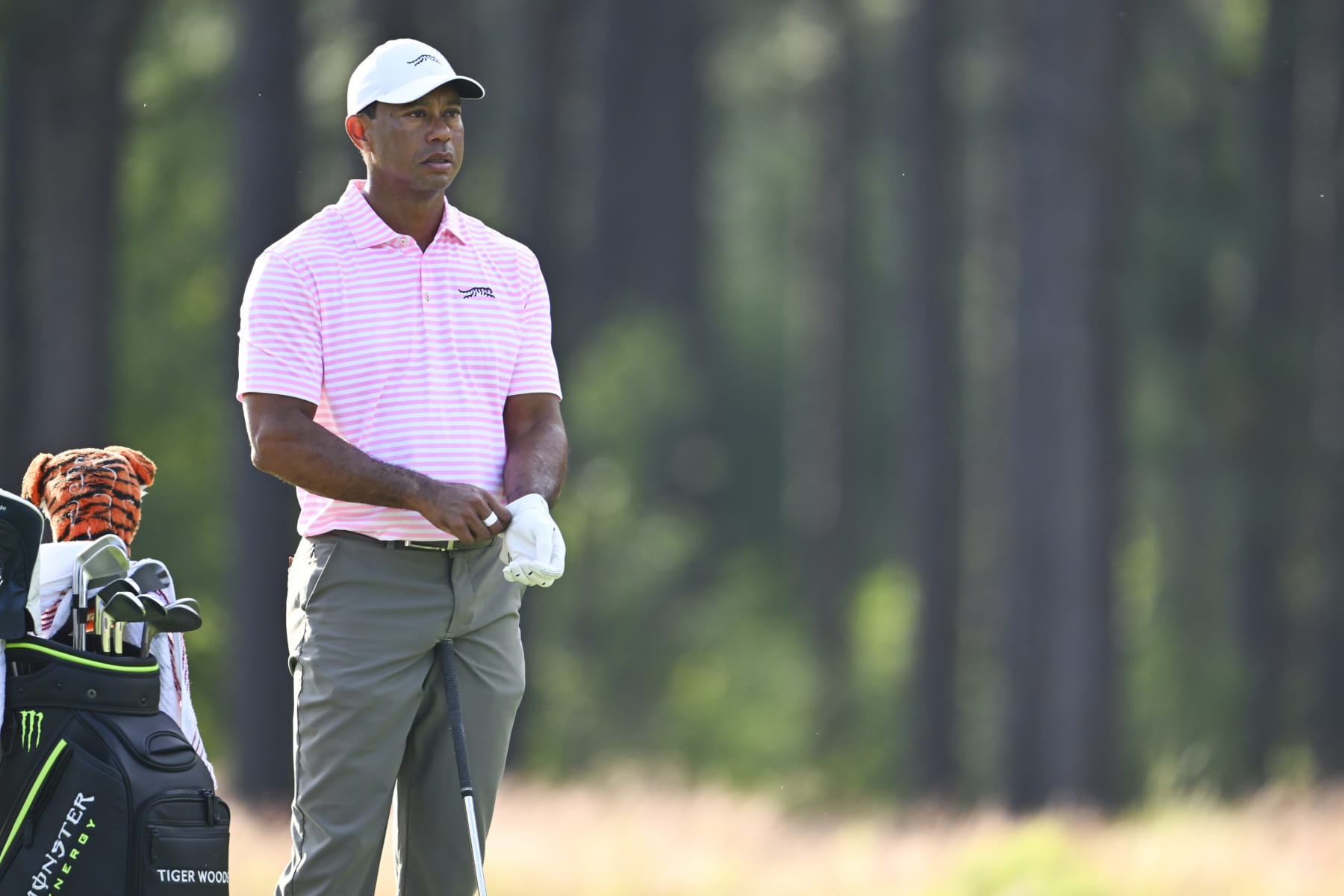 PINEHURST, NORTH CAROLINA - JUNE 13: Tiger Woods in the 11th fairway during the first round of 124th U.S. Open Championship at Pinehurst No. 2 at Pinehurst Resort on June 13, 2024 in Pinehurst, North Carolina. (Photo by Tracy Wilcox/PGA TOUR via Getty Images)