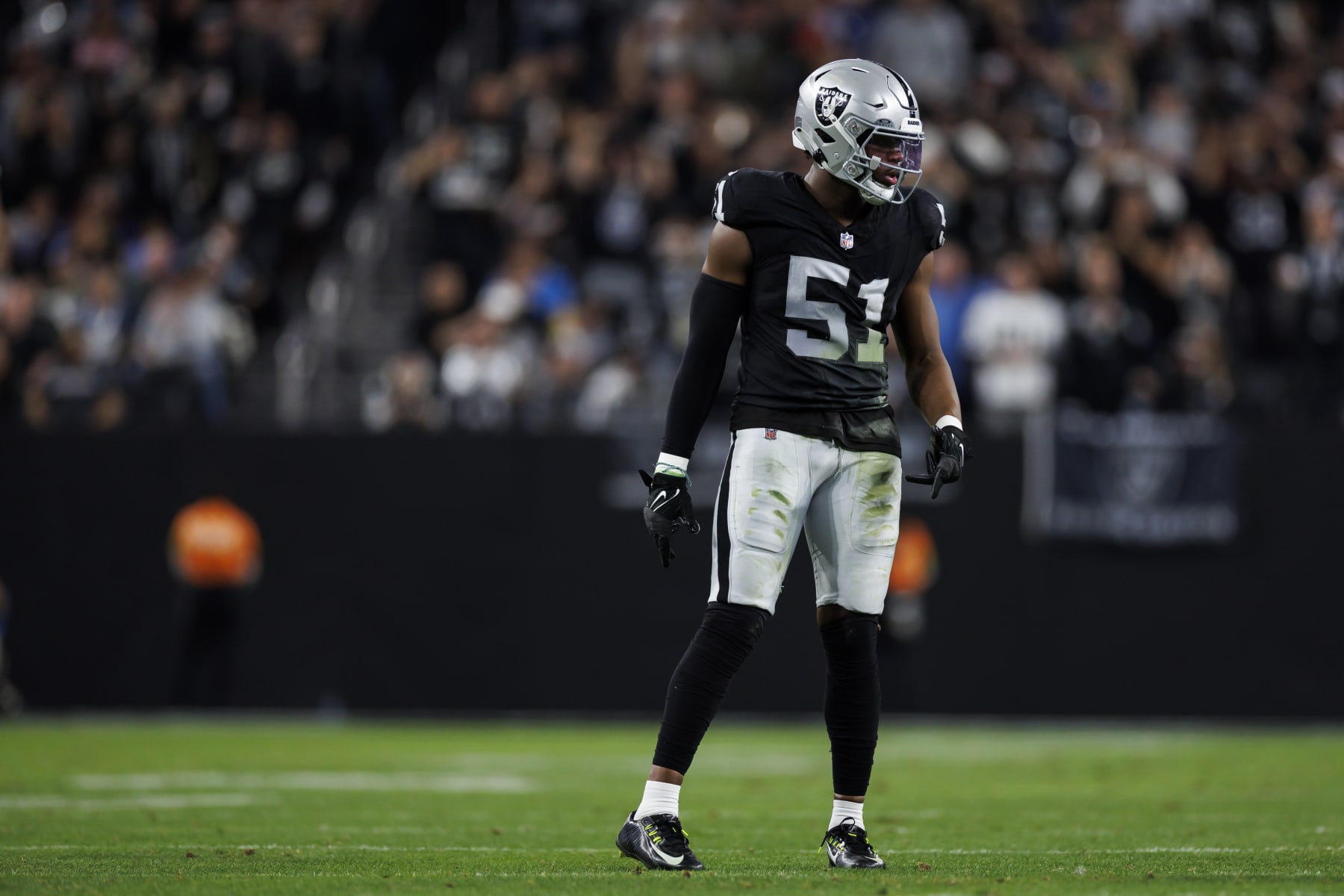 LAS VEGAS, NEVADA - DECEMBER 14: Malcolm Koonce #51 of the Las Vegas Raiders looks on during an NFL football game against the Los Angeles Chargers at Allegiant Stadium on December 14, 2023 in Las Vegas, Nevada. (Photo by Ryan Kang/Getty Images)
