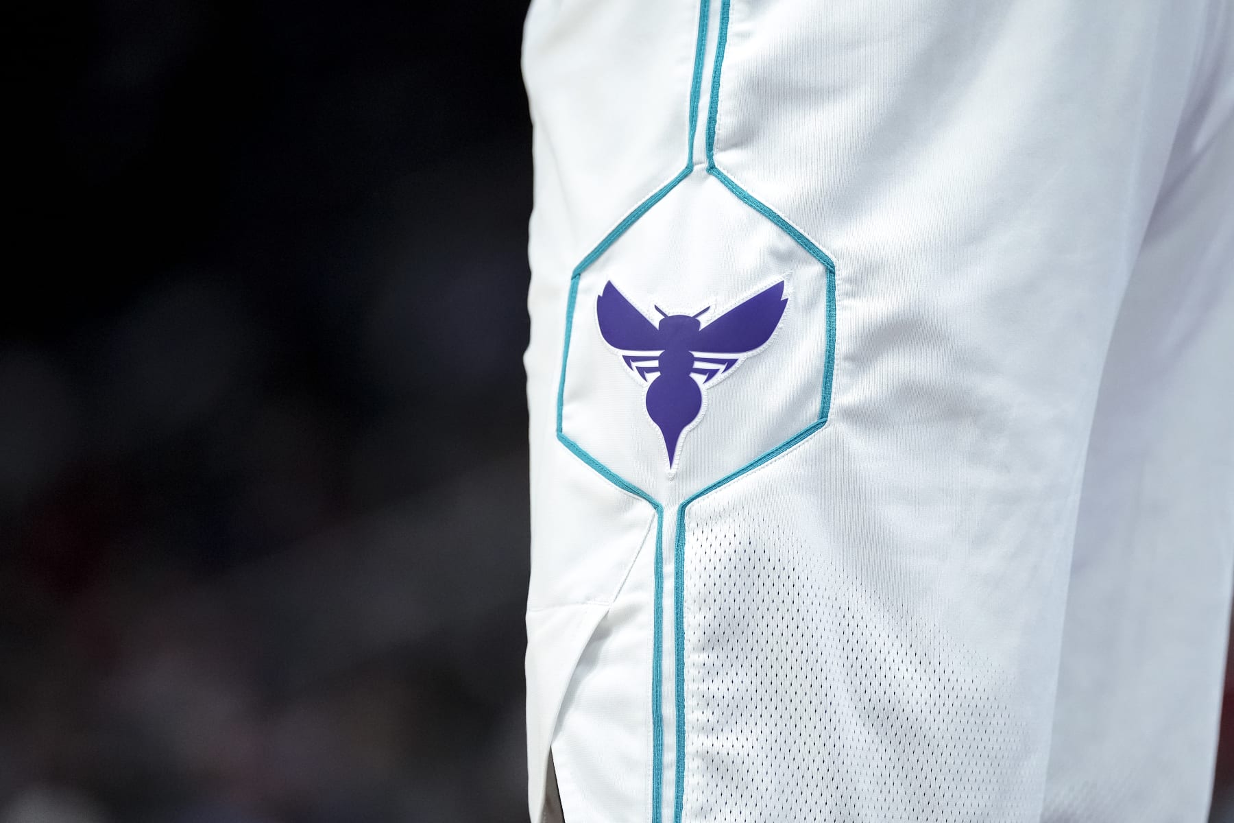 DETROIT, MICHIGAN - MARCH 11: The Charlotte Hornets logo on a uniform against the Detroit Pistons at Little Caesars Arena on March 11, 2024 in Detroit, Michigan. NOTE TO USER: User expressly acknowledges and agrees that, by downloading and or using this photograph, User is consenting to the terms and conditions of the Getty Images License Agreement. (Photo by Nic Antaya/Getty Images)