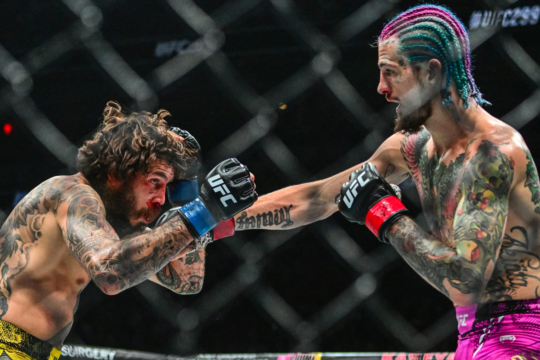 Current champion USA's Sean O'Malley (R) fights Ecuador's Marlon Vera during their UFC Bantamweight Championship bout at the Kaseya Center in Miami, Florida, on March 9, 2024. between (Photo by GIORGIO VIERA / AFP) (Photo by GIORGIO VIERA/AFP via Getty Images)