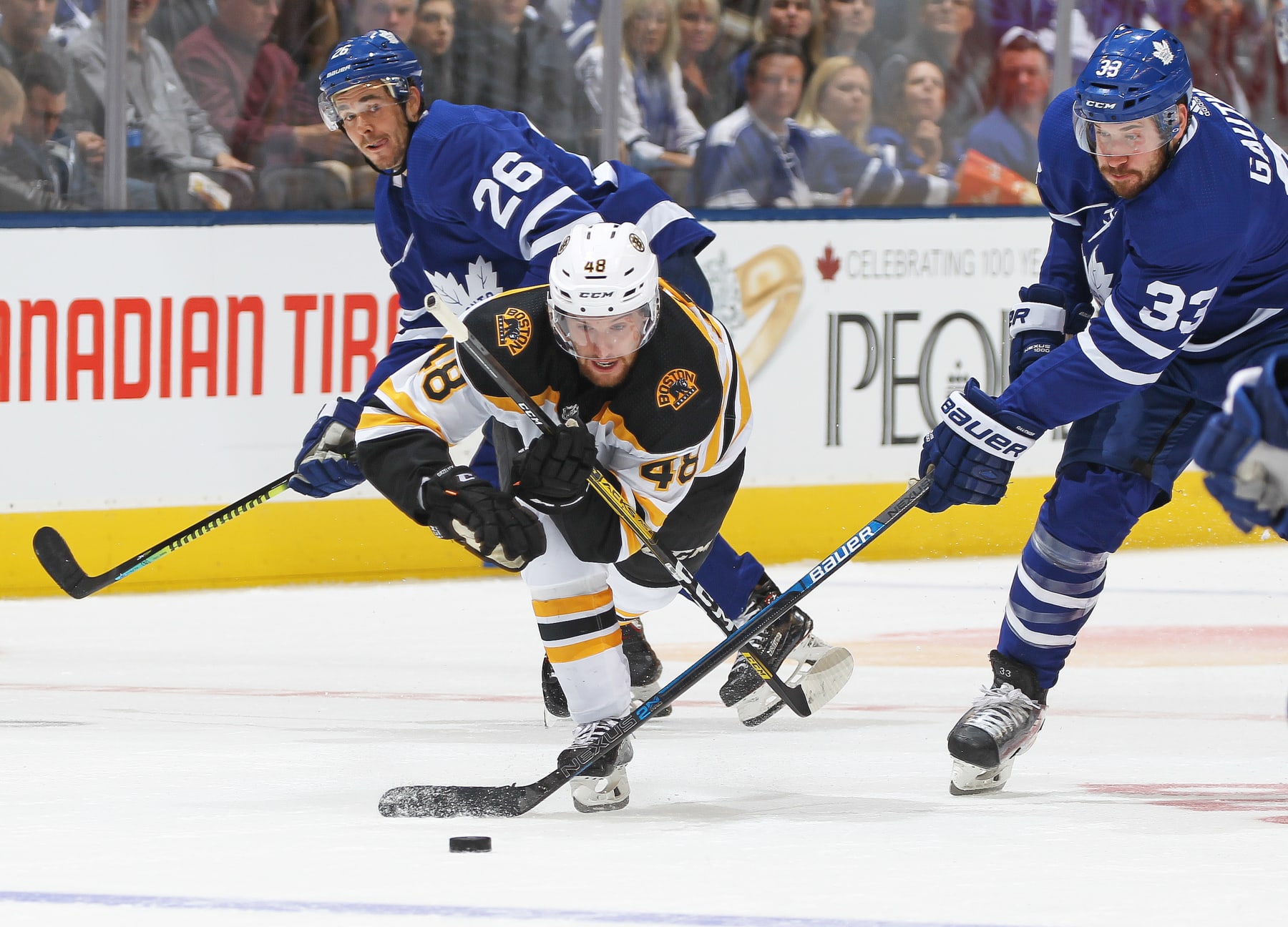TORONTO, ON - OCTOBER 19:  Matt Grzelyck #48 of the Boston Bruins battles against Frederik Gauthier #33 of the Toronto Maple Leafs during an NHL game at Scotiabank Arena on October 19, 2019 in Toronto, Ontario, Canada. The Maple Leafs defeated the Bruins 4-3 in overtime. (Photo by Claus Andersen/Getty Images)