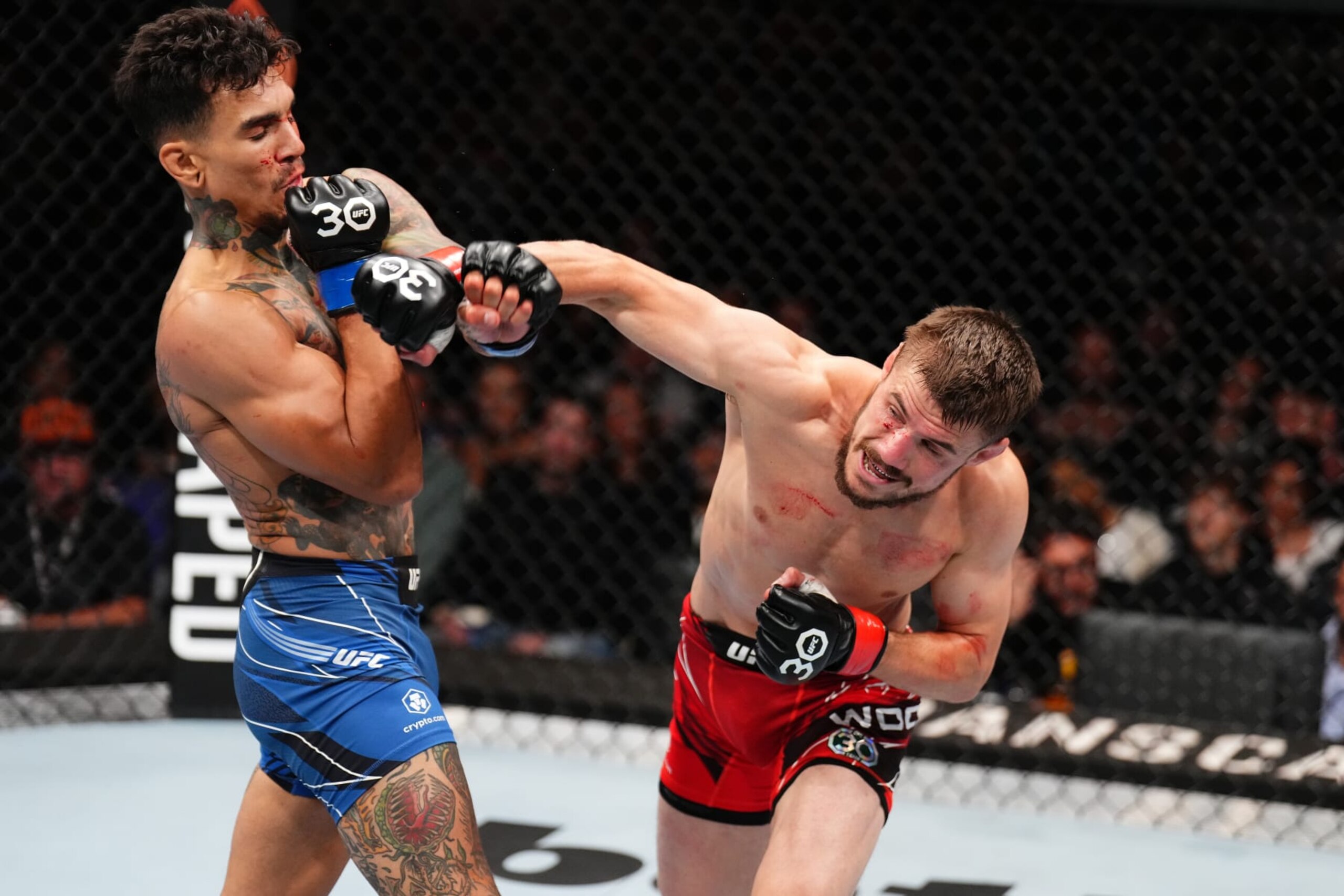 Nathaniel Wood punches Andre Fili