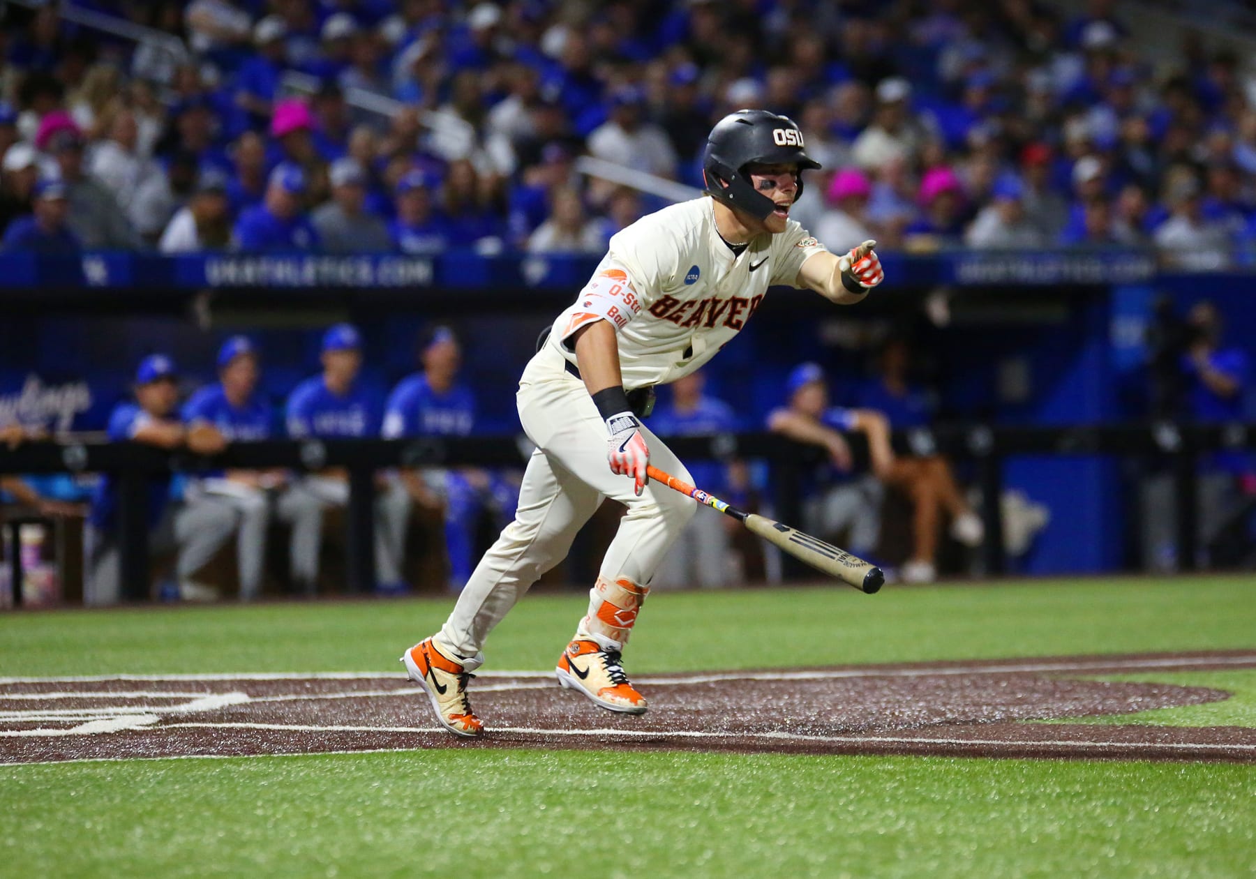 LEXINGTON, KY - JUNE 09: Oregon State infielder Travis Bazzana (37) in an NCAA super regional game between the Oregon State Beavers and the Kentucky Wildcats on June 9, 2024, at Kentucky Proud Park in Lexington, KY. (Photo by Jeff Moreland/Icon Sportswire via Getty Images)