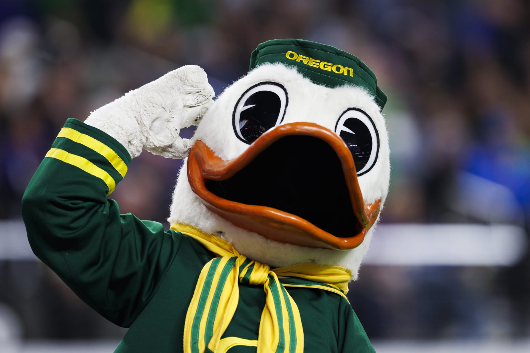 LAS VEGAS, NEVADA - DECEMBER 1: Oregon Ducks mascot celebrates against the Washington Huskies during the Pac-12 Championship at Allegiant Stadium on December 1, 2023 in Las Vegas, Nevada. (Photo by Ric Tapia/Getty Images)