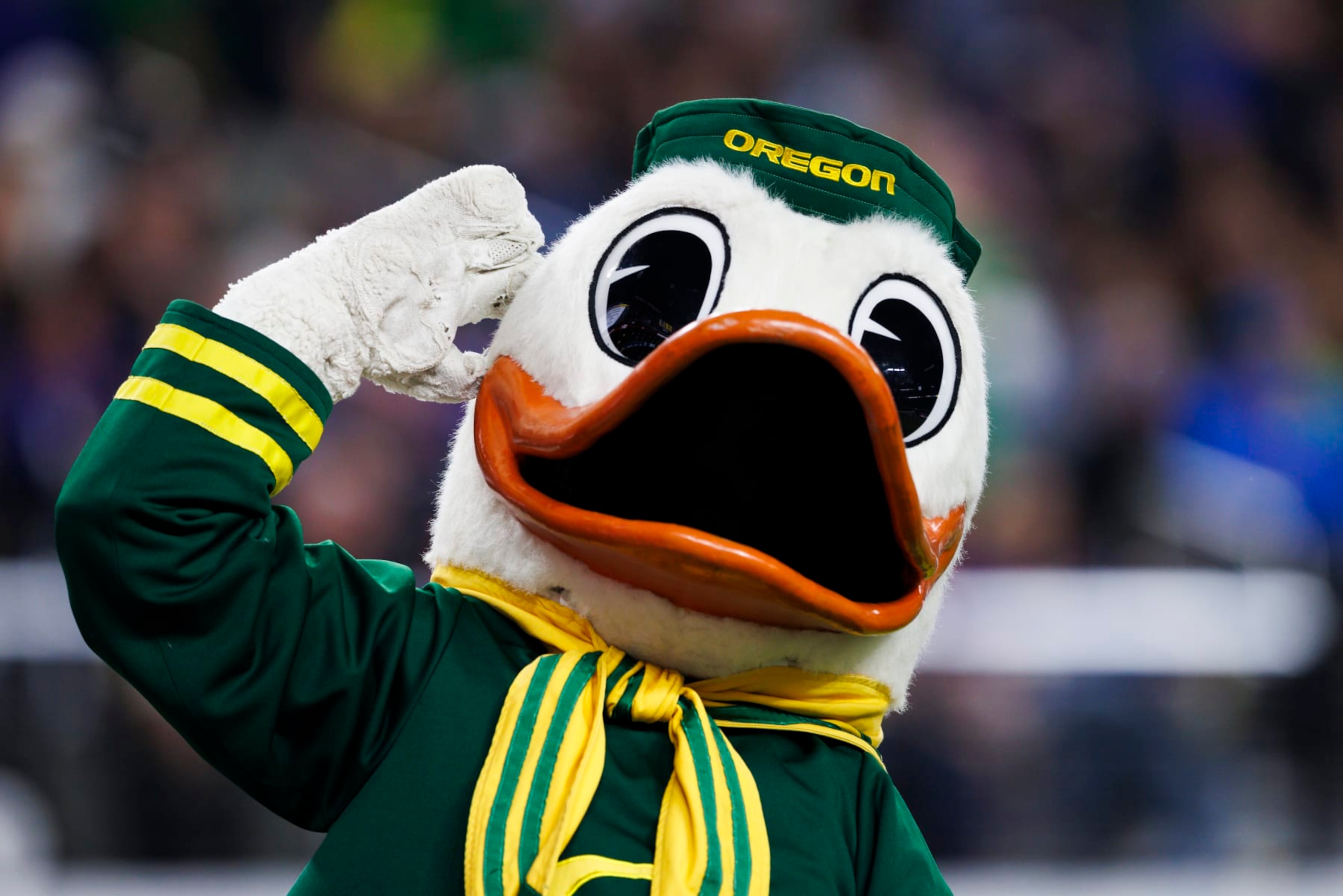 LAS VEGAS, NEVADA - DECEMBER 1: Oregon Ducks mascot celebrates against the Washington Huskies during the Pac-12 Championship at Allegiant Stadium on December 1, 2023 in Las Vegas, Nevada. (Photo by Ric Tapia/Getty Images)