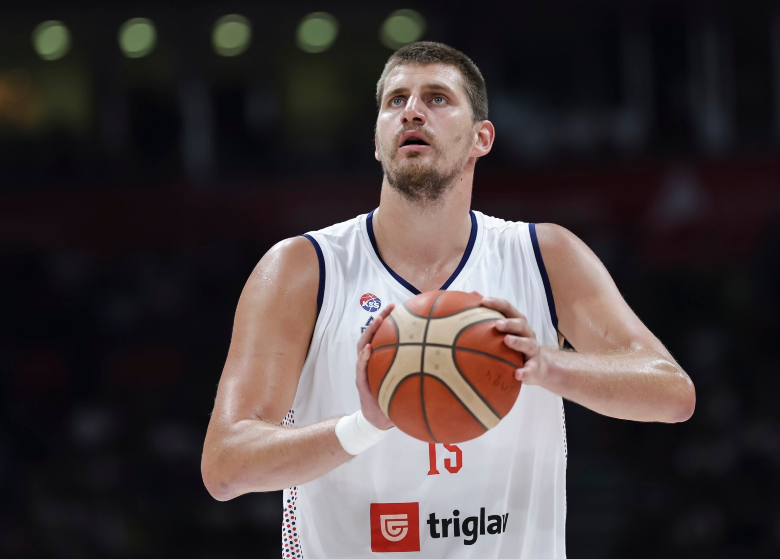 Nikola JokiÄ