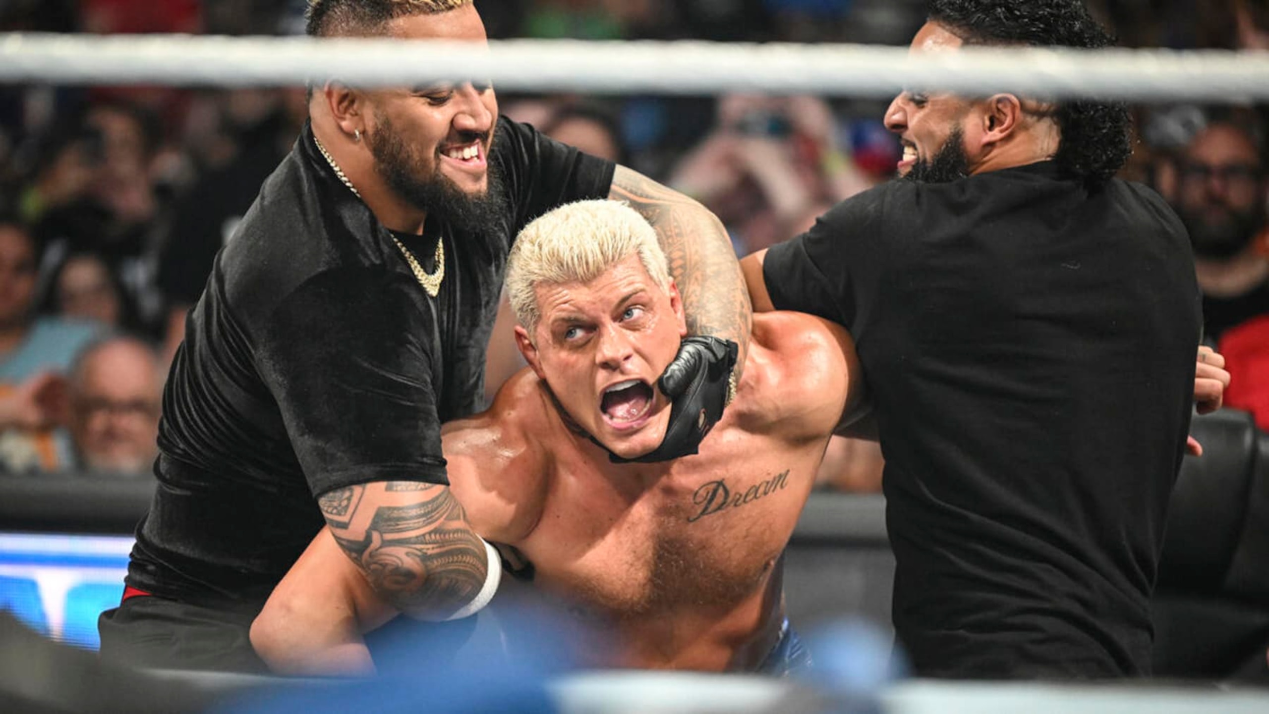 Solo Sikoa will challenge Cody Rhodes for the Undisputed WWE Championship. The result could change WWE for years to come. Solo Sikoa will challenge Cody Rhodes for the Undisputed WWE Championship. The result could change WWE for years to come.