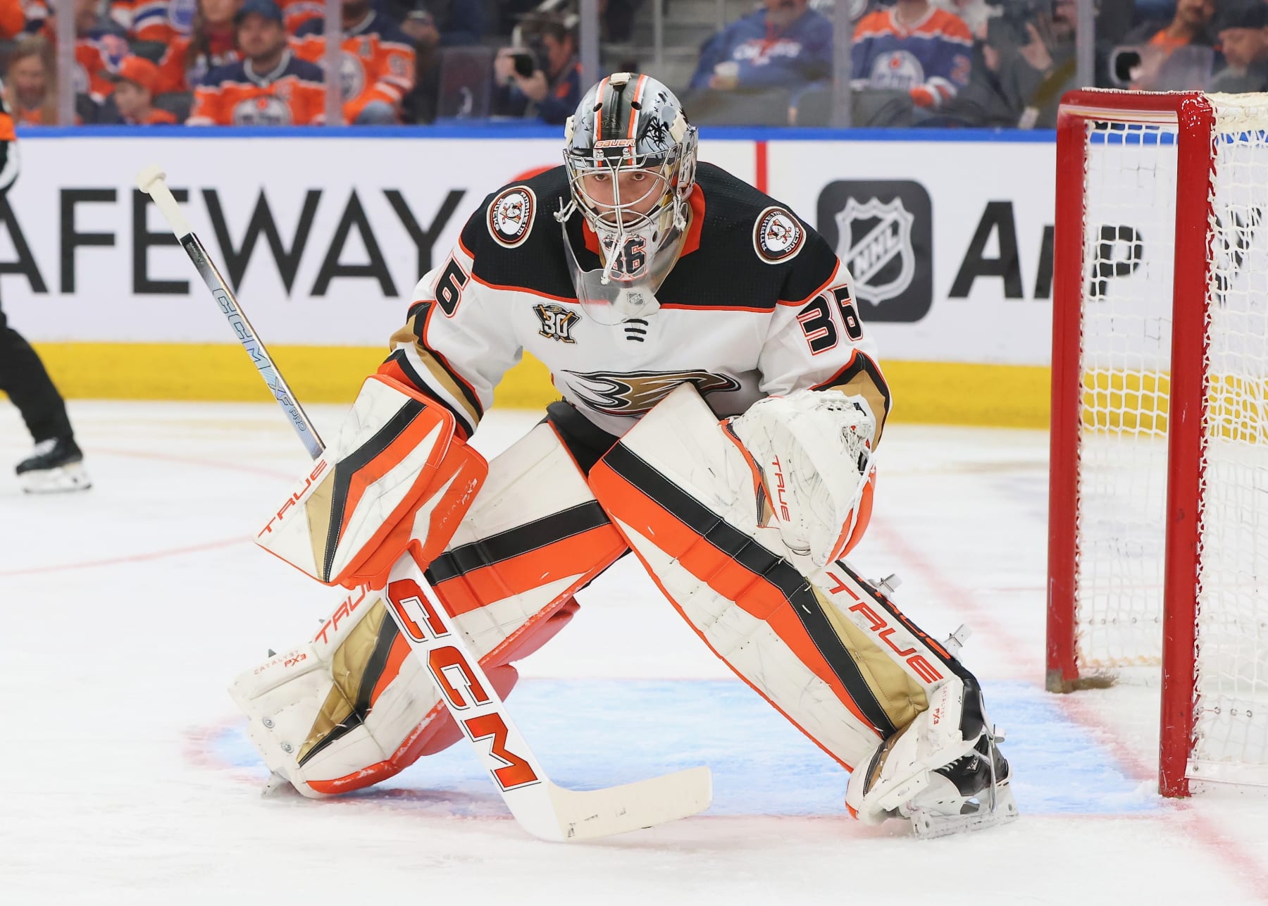 EDMONTON, CANADA - MARCH 30: John Gibson #36 of the Anaheim Ducks stares down the shooter in the second period against the Edmonton Oilers on March 30, 2024 at Rogers Place in Edmonton, Alberta, Canada. (Photo by Lawrence Scott/Getty Images)