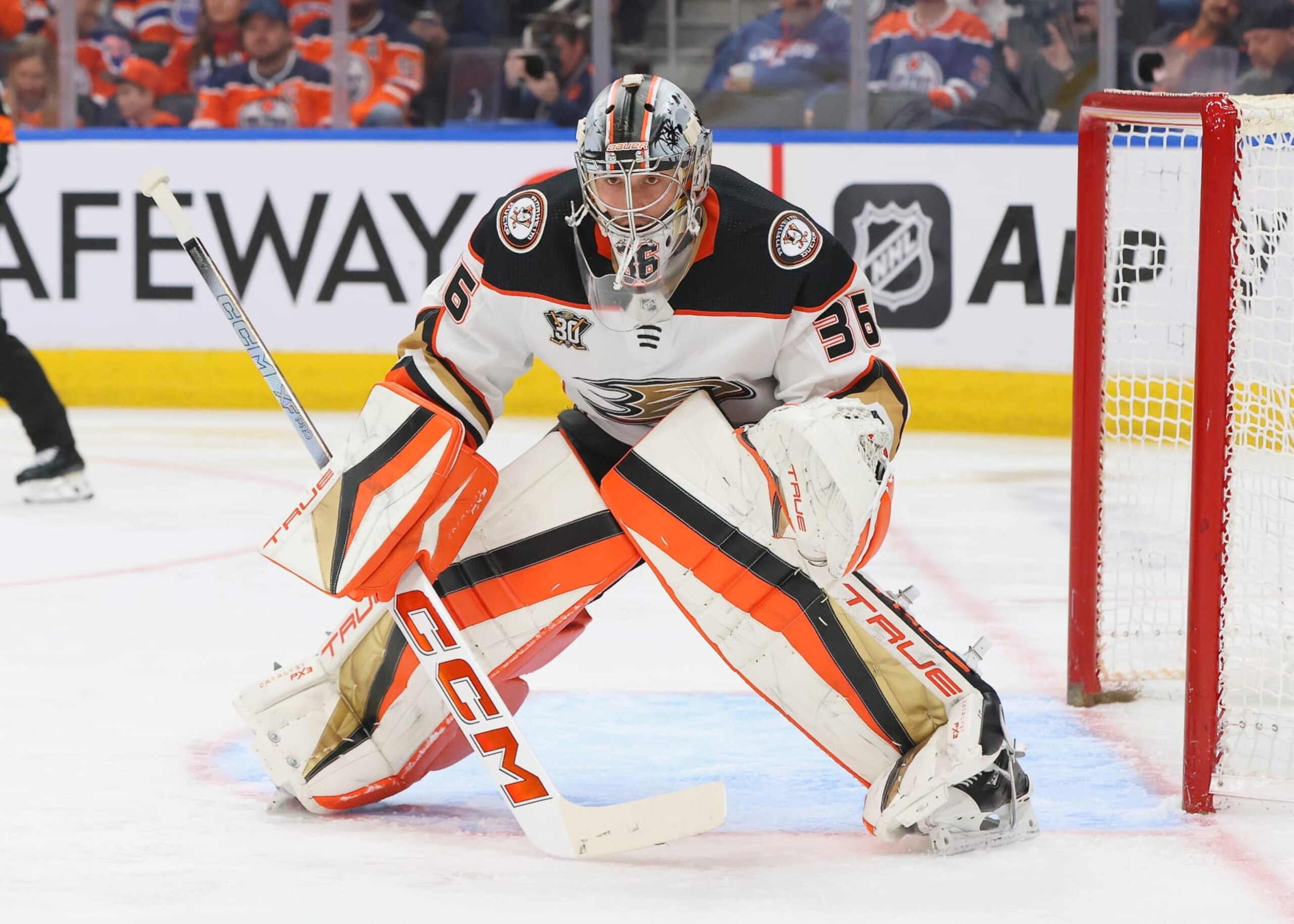 EDMONTON, CANADA - MARCH 30: John Gibson #36 of the Anaheim Ducks stares down the shooter in the second period against the Edmonton Oilers on March 30, 2024 at Rogers Place in Edmonton, Alberta, Canada. (Photo by Lawrence Scott/Getty Images)