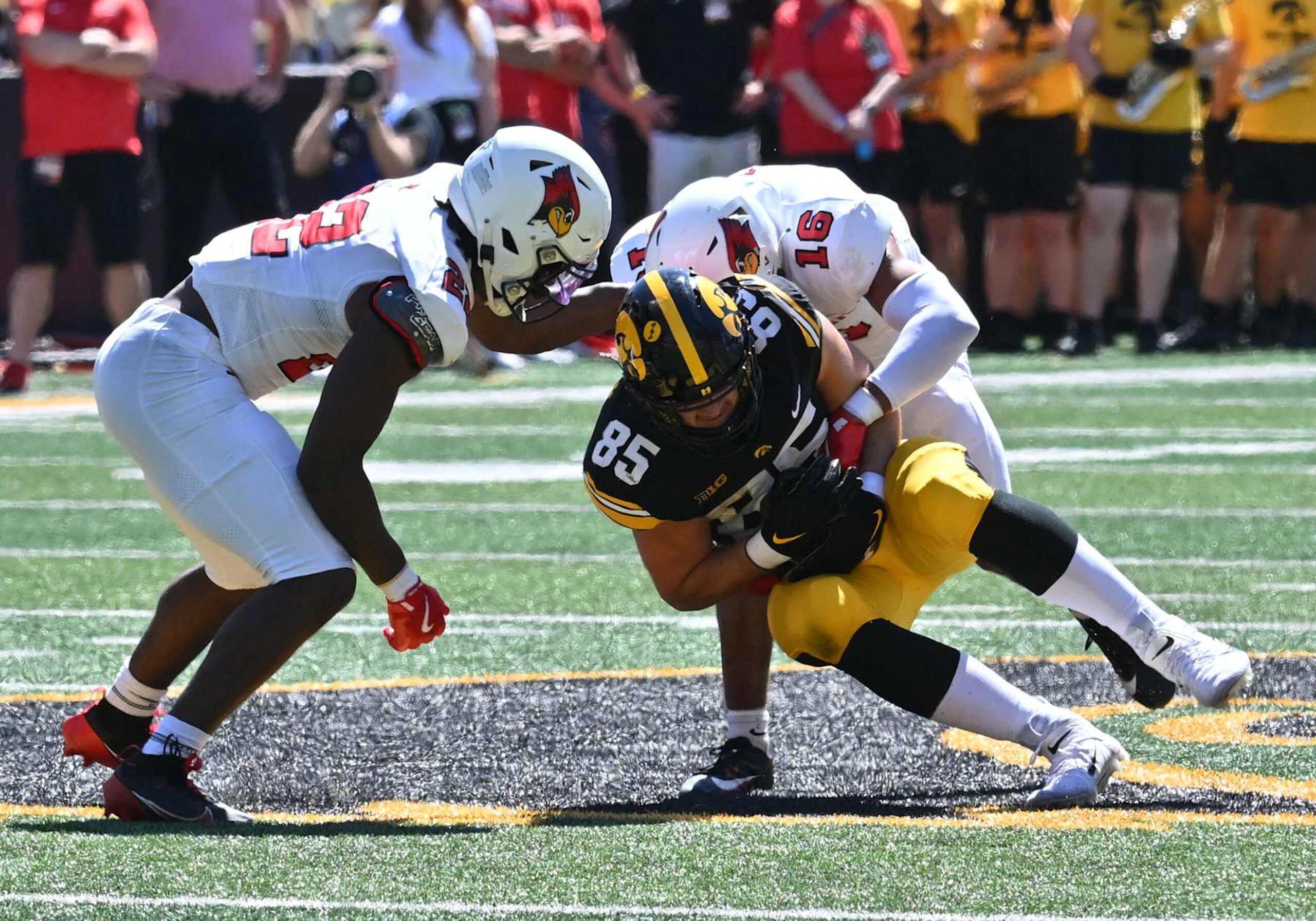 IOWA CITY, IA - AUGUST 31: Illinois State linebacker Amir Abdullah (22) and Illinois State free safety Dillon Gearhart (16) tackle Iowa tight end Luke Lachey (85) after a lipase reception during a college football game between the Illinois State Redbirds and the Iowa Hawkeyes, on August  31, 2024, at Kinnick Stadium, Iowa City, IA. (Photo by Keith Gillett/IconSportswire)
