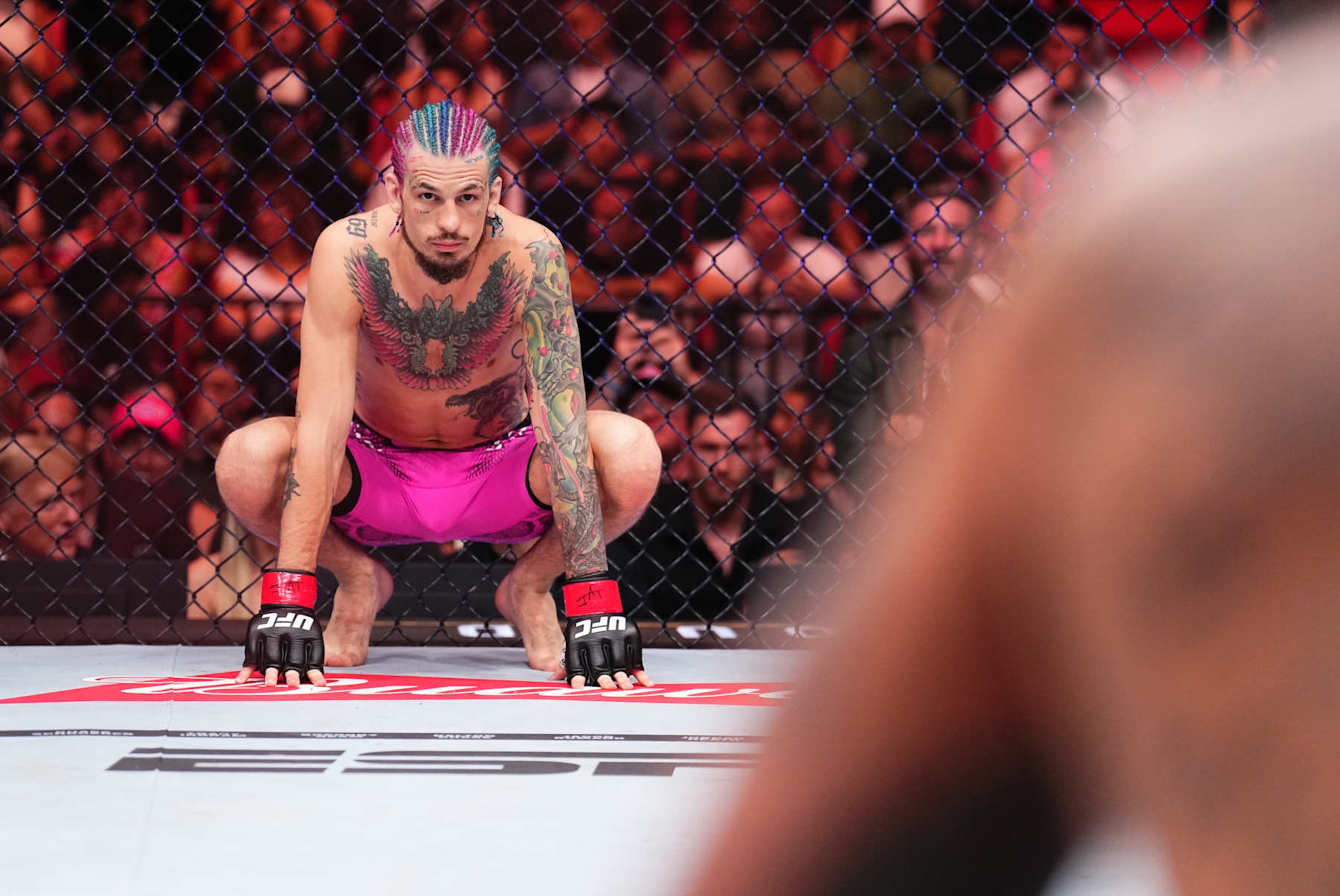 Sean O'Malley prepares to face Marlon Vera