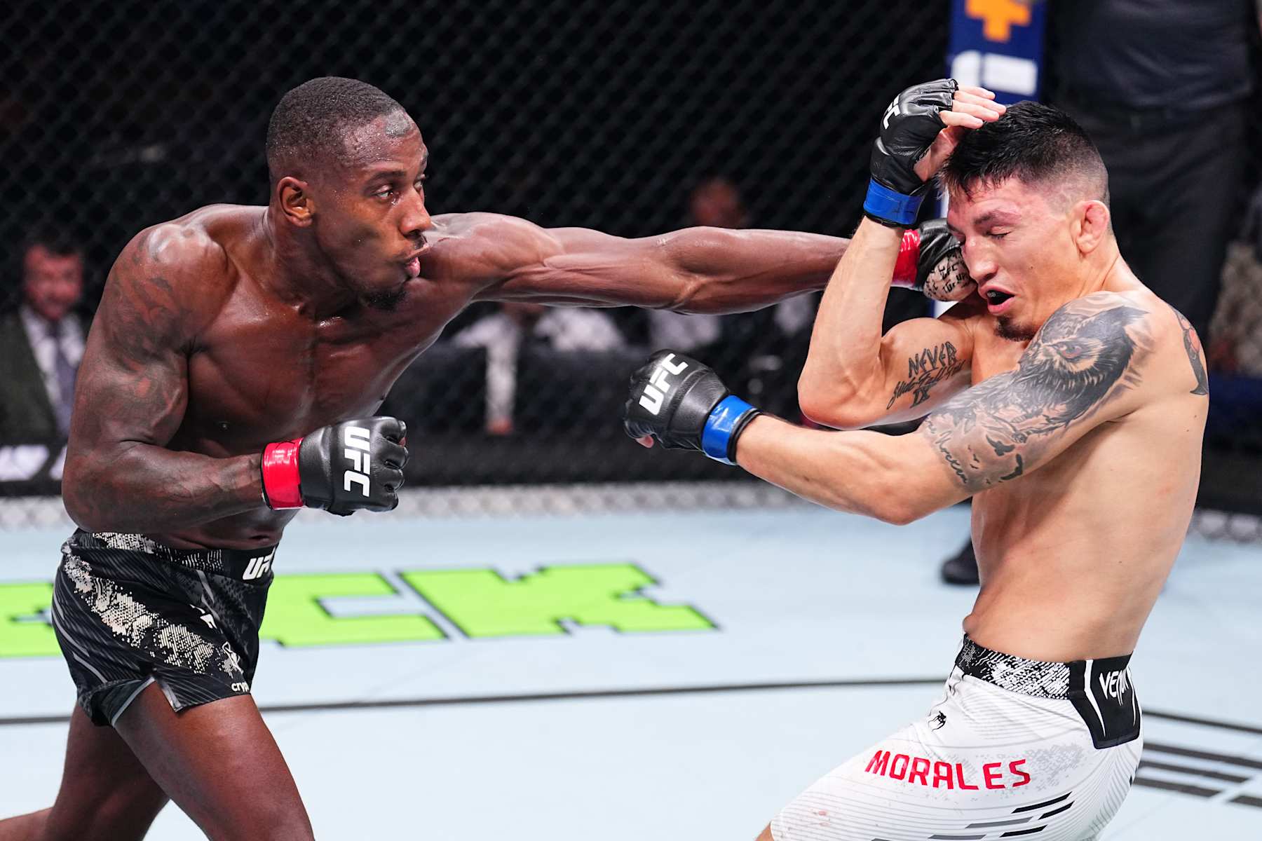 PARIS, FRANCE - SEPTEMBER 28: (L-R) Taylor Lapilus of France punches Vince Morales in a bantamweight fight during the UFC Fight Night event at The Accor Arena on September 28, 2024 in Paris, France.  (Photo by Chris Unger/Zuffa LLC)